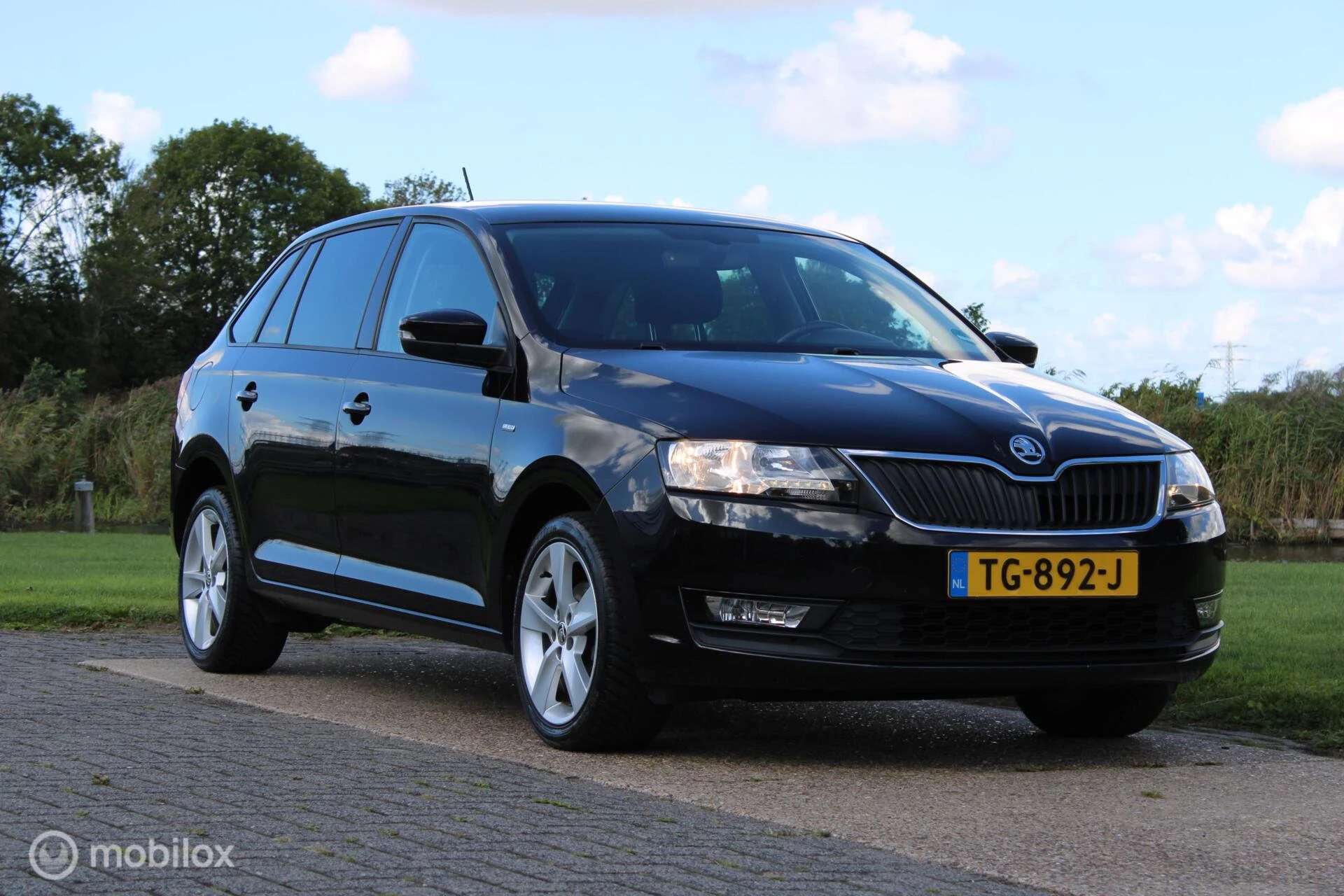 Hoofdafbeelding Škoda Rapid