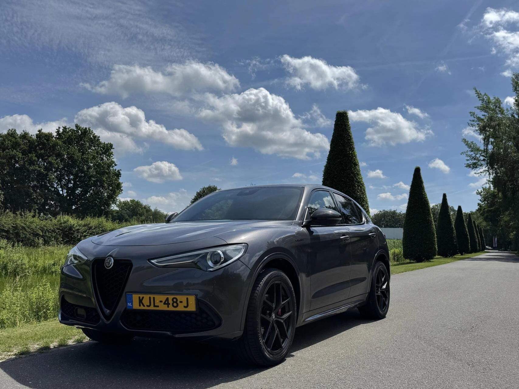 Hoofdafbeelding Alfa Romeo Stelvio