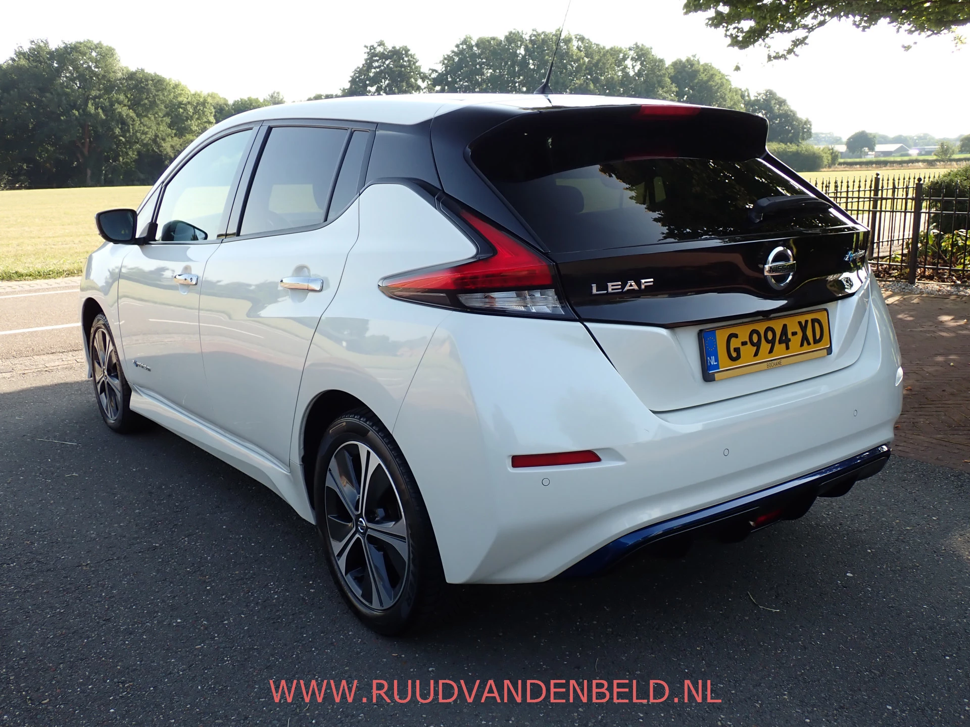 Hoofdafbeelding Nissan Leaf