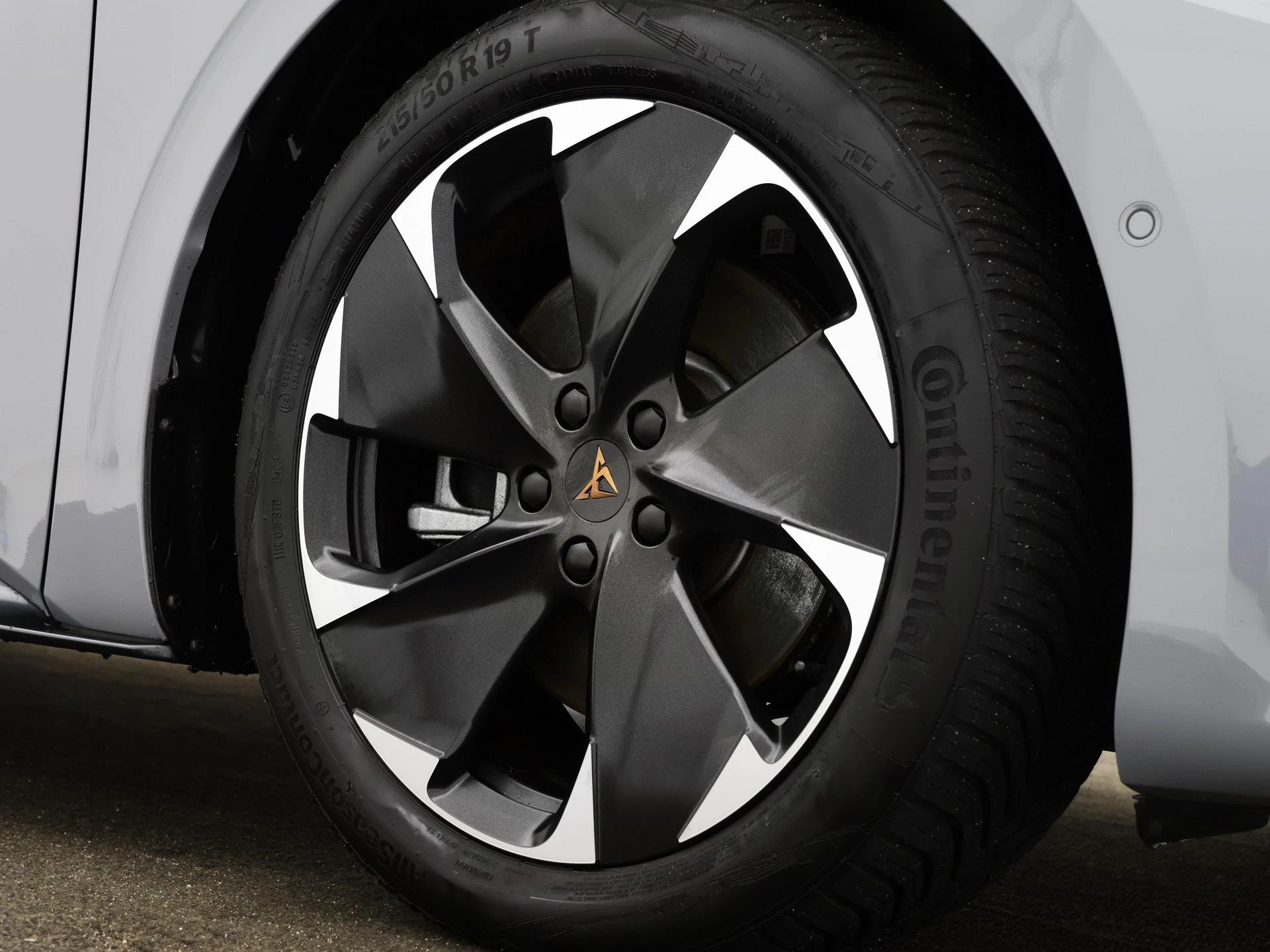 Hoofdafbeelding CUPRA Born