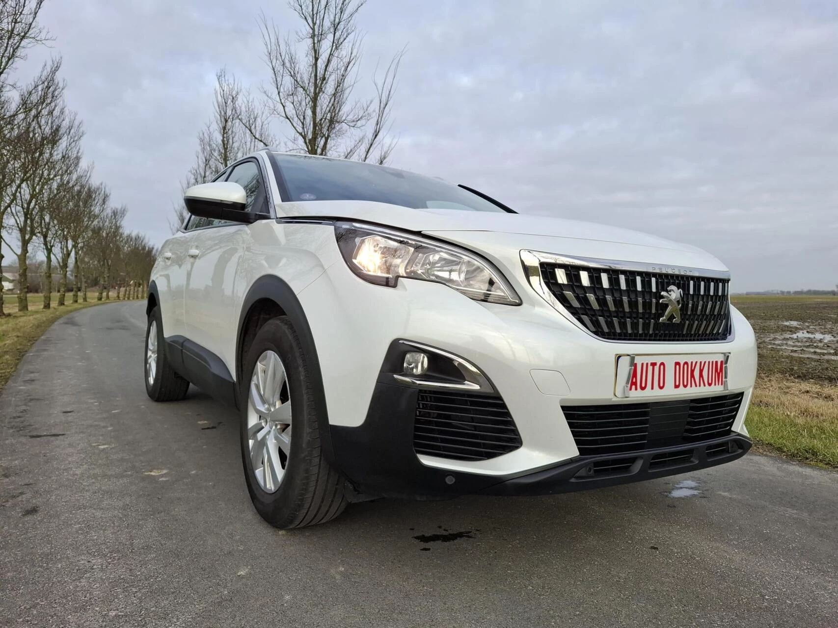 Hoofdafbeelding Peugeot 3008
