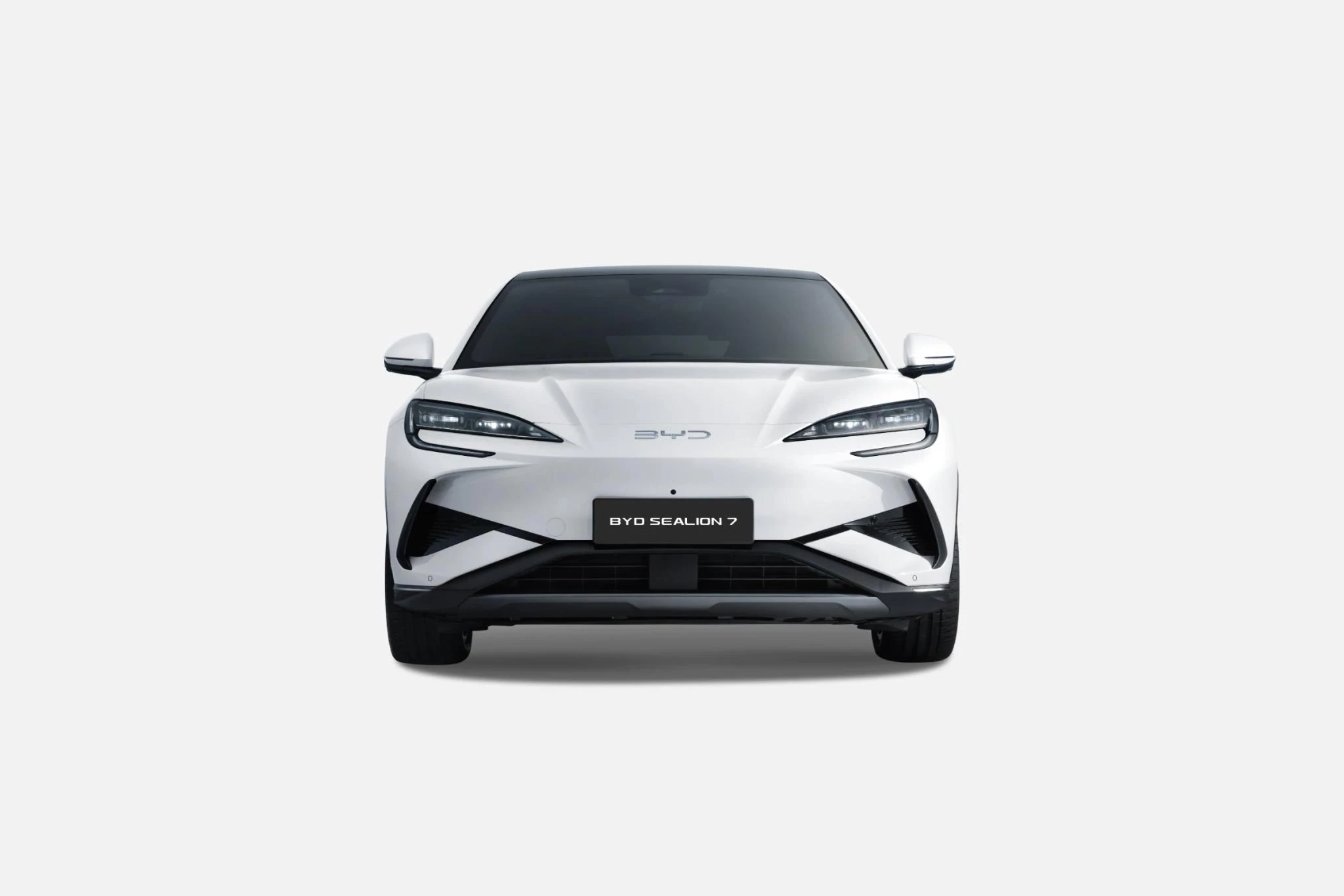 Hoofdafbeelding BYD SEALION