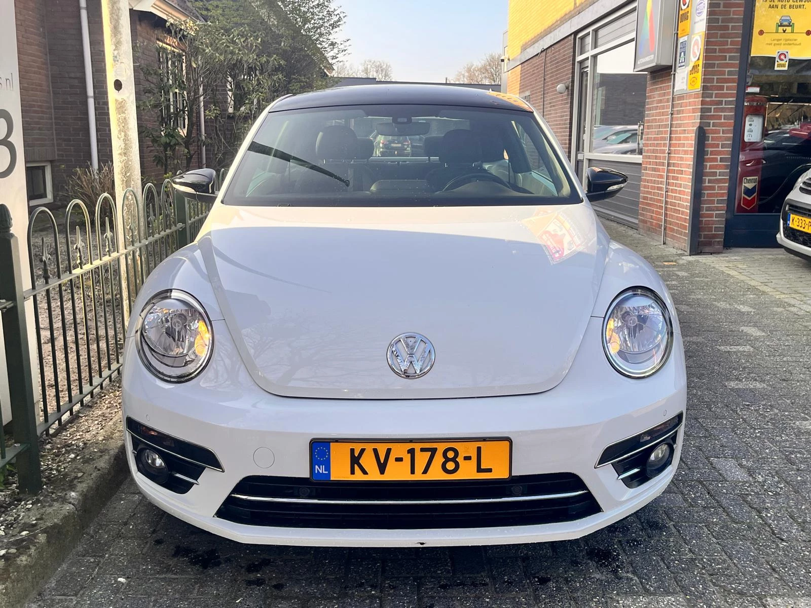 Hoofdafbeelding Volkswagen Beetle