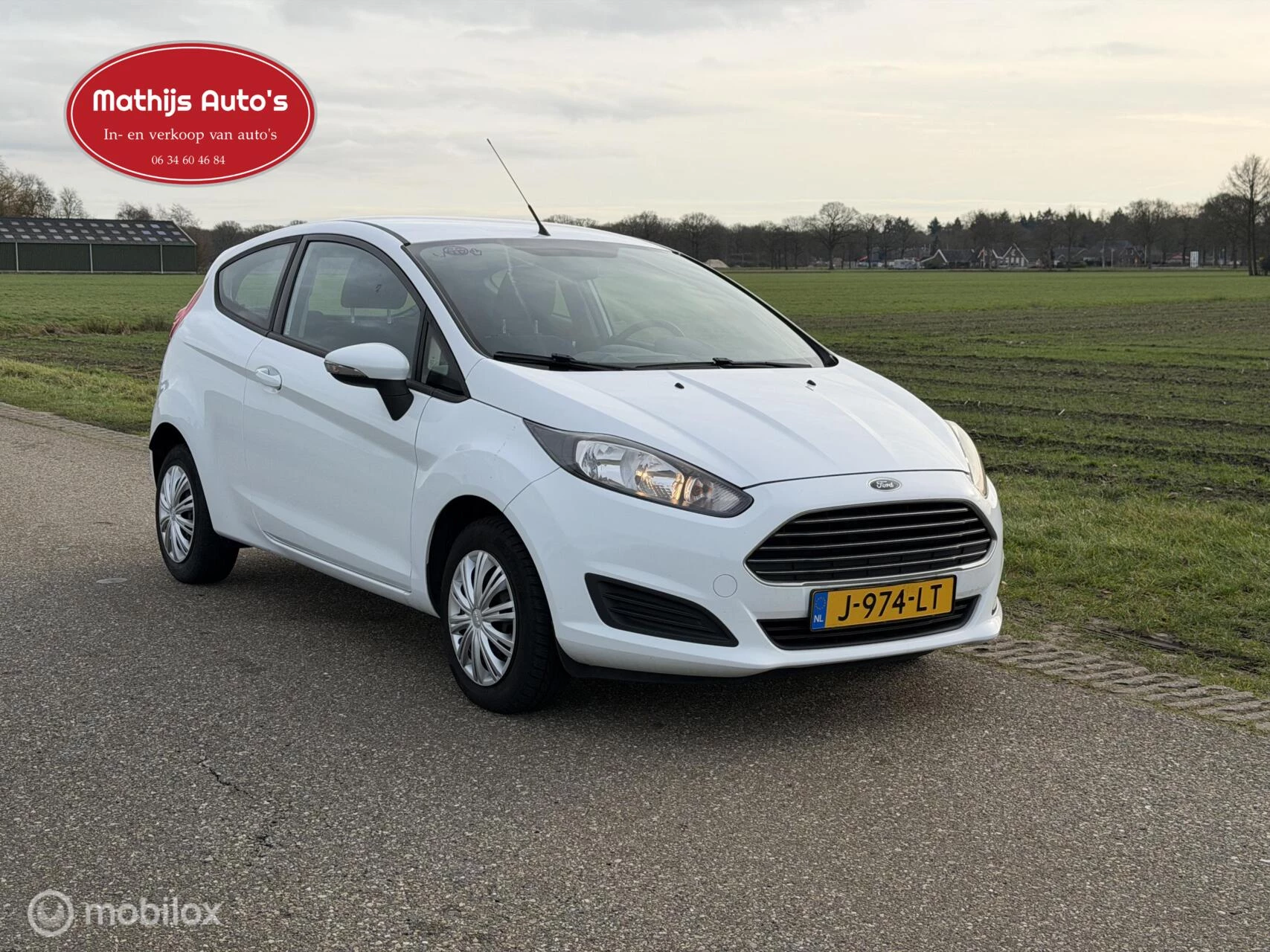 Hoofdafbeelding Ford Fiesta
