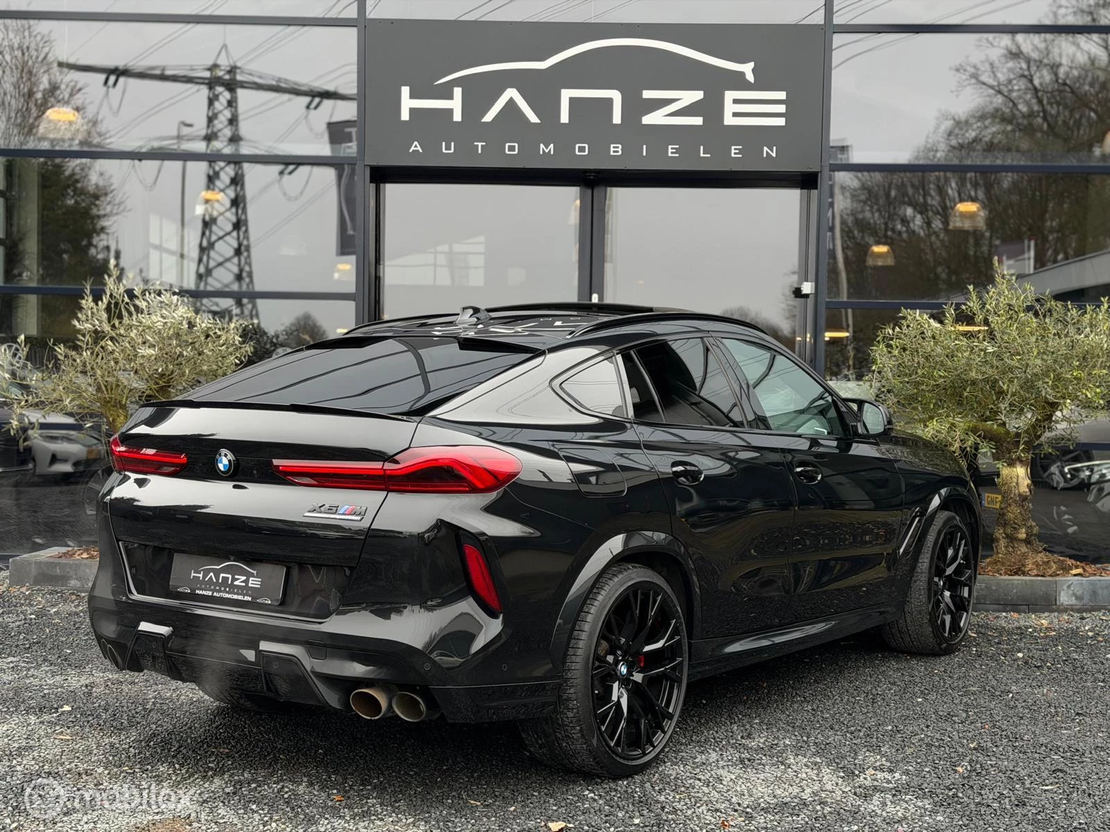 Hoofdafbeelding BMW X6