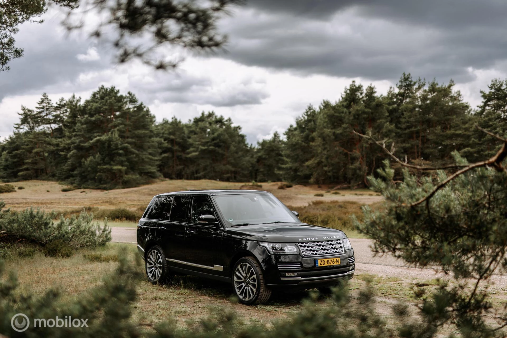 Hoofdafbeelding Land Rover Range Rover