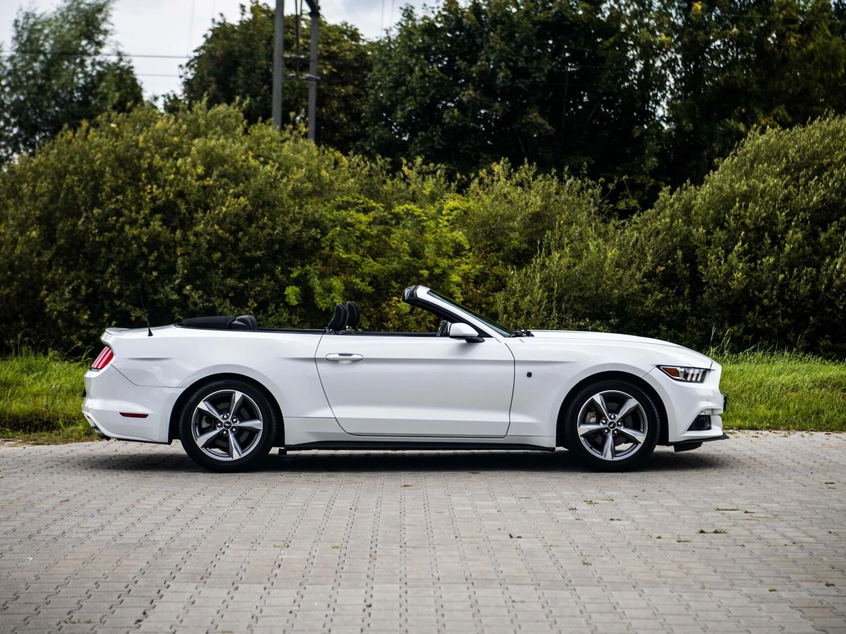 Hoofdafbeelding Ford Mustang