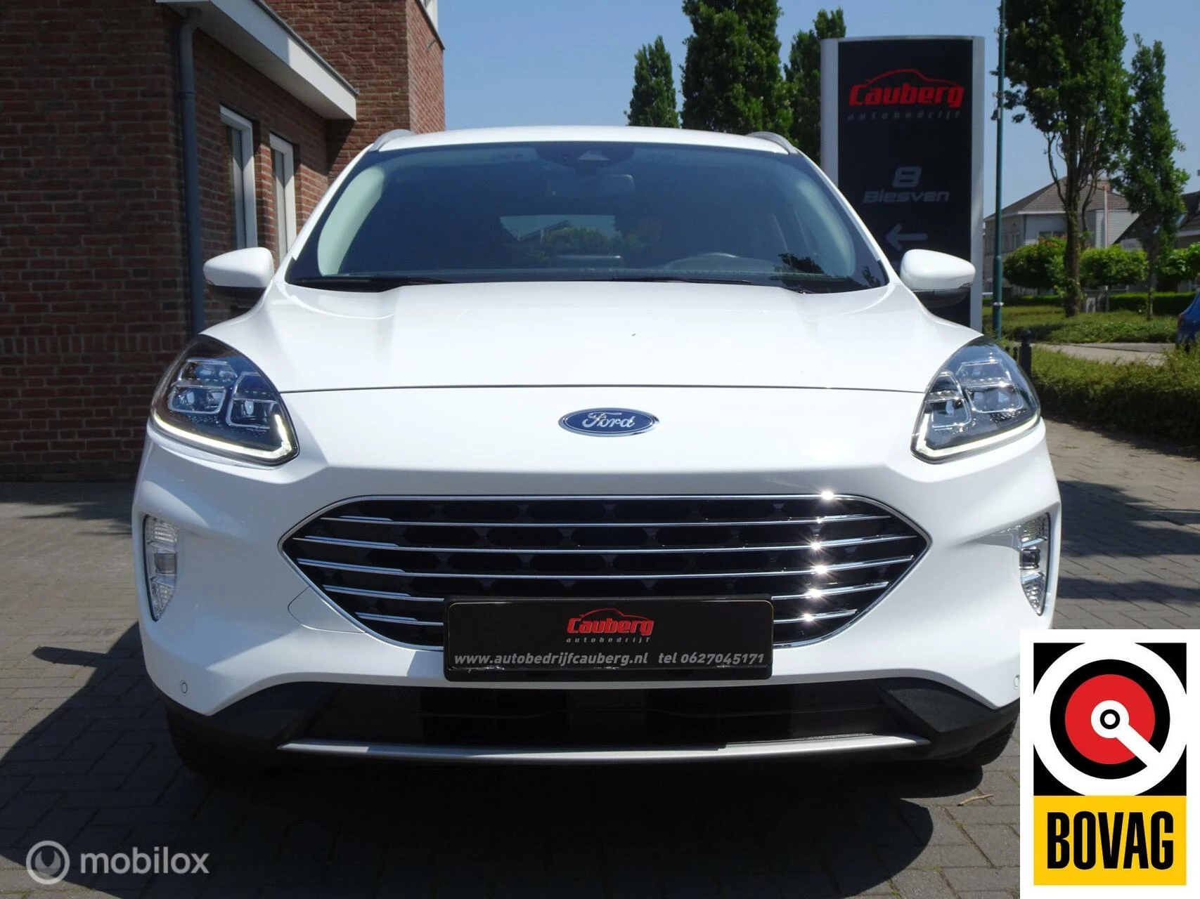 Hoofdafbeelding Ford Kuga