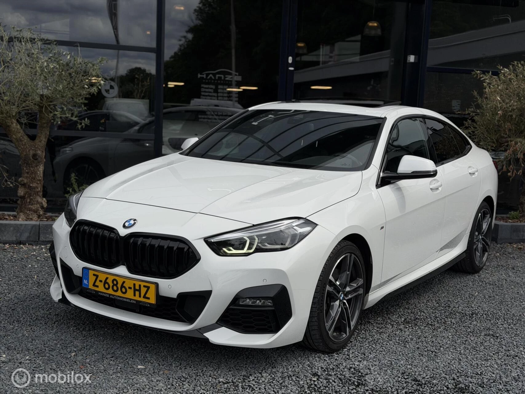 Hoofdafbeelding BMW 2 Serie