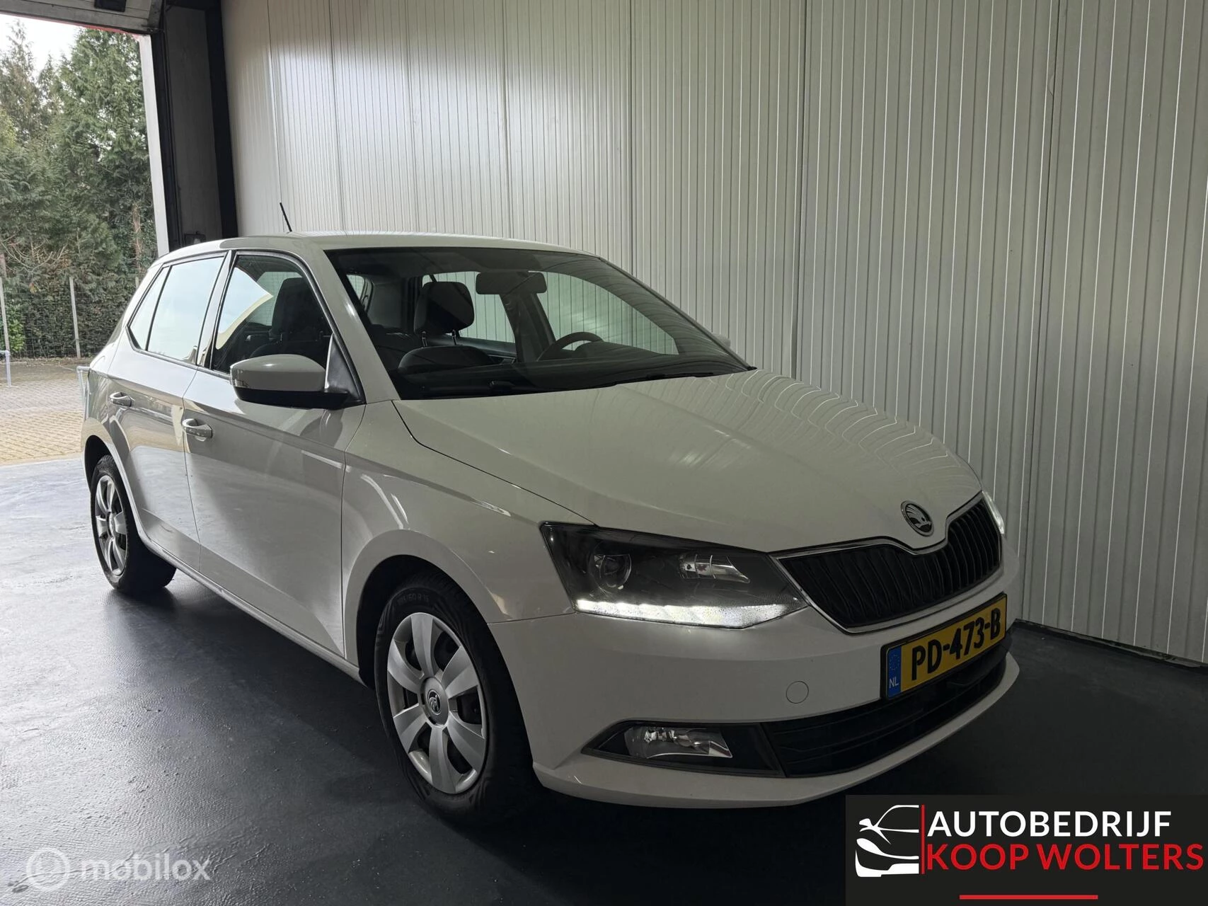 Hoofdafbeelding Škoda Fabia