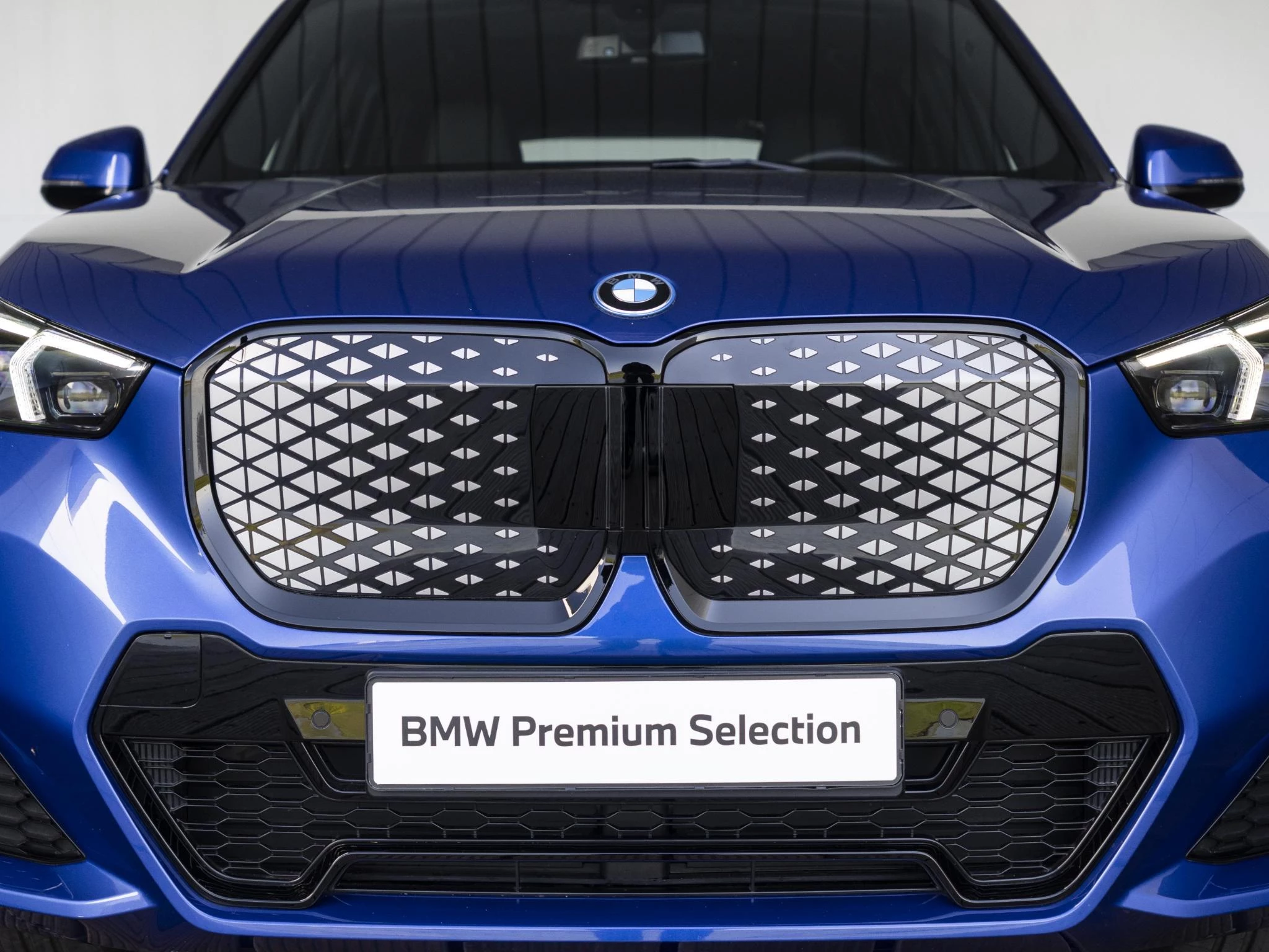 Hoofdafbeelding BMW iX1