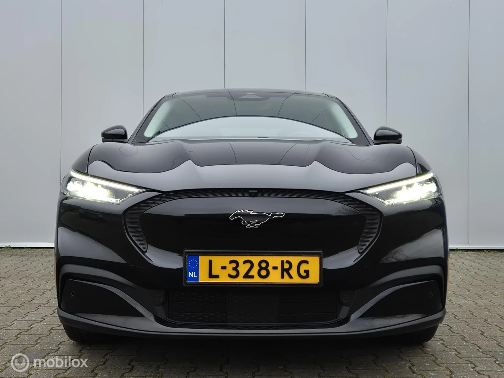 Hoofdafbeelding Ford Mustang Mach-E