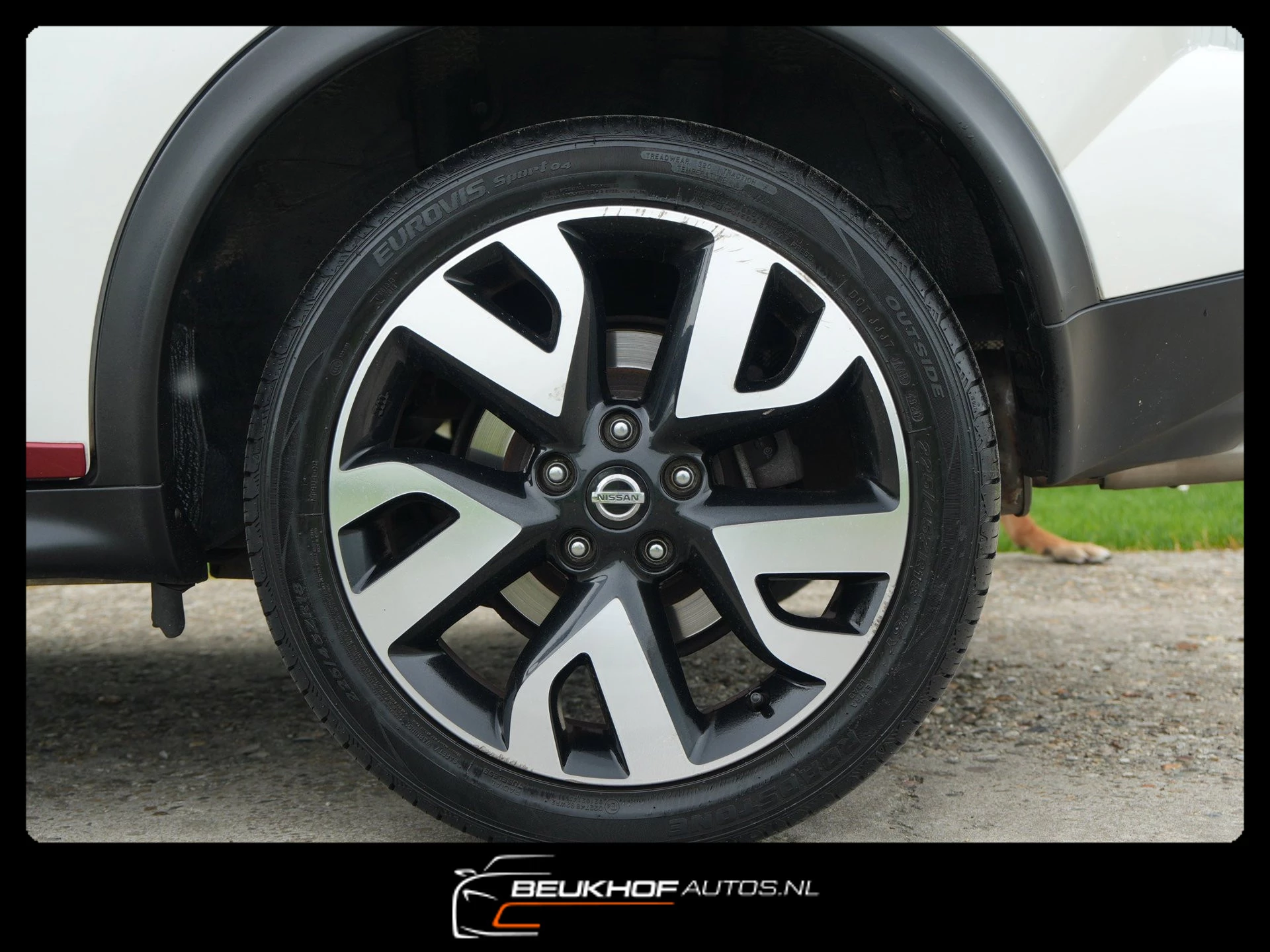 Hoofdafbeelding Nissan Juke