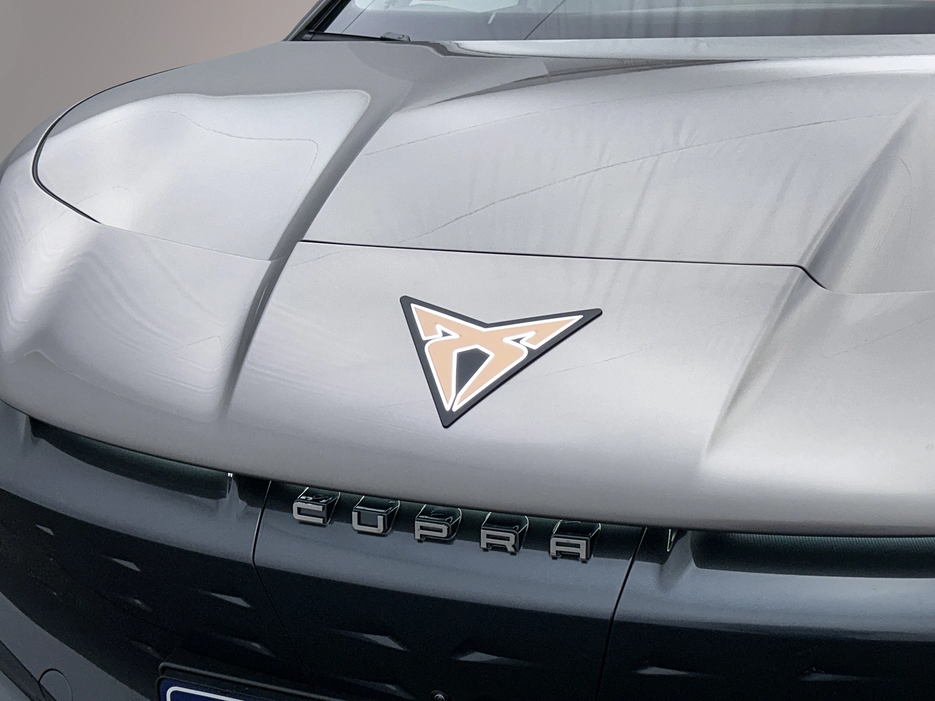 Hoofdafbeelding CUPRA Tavascan