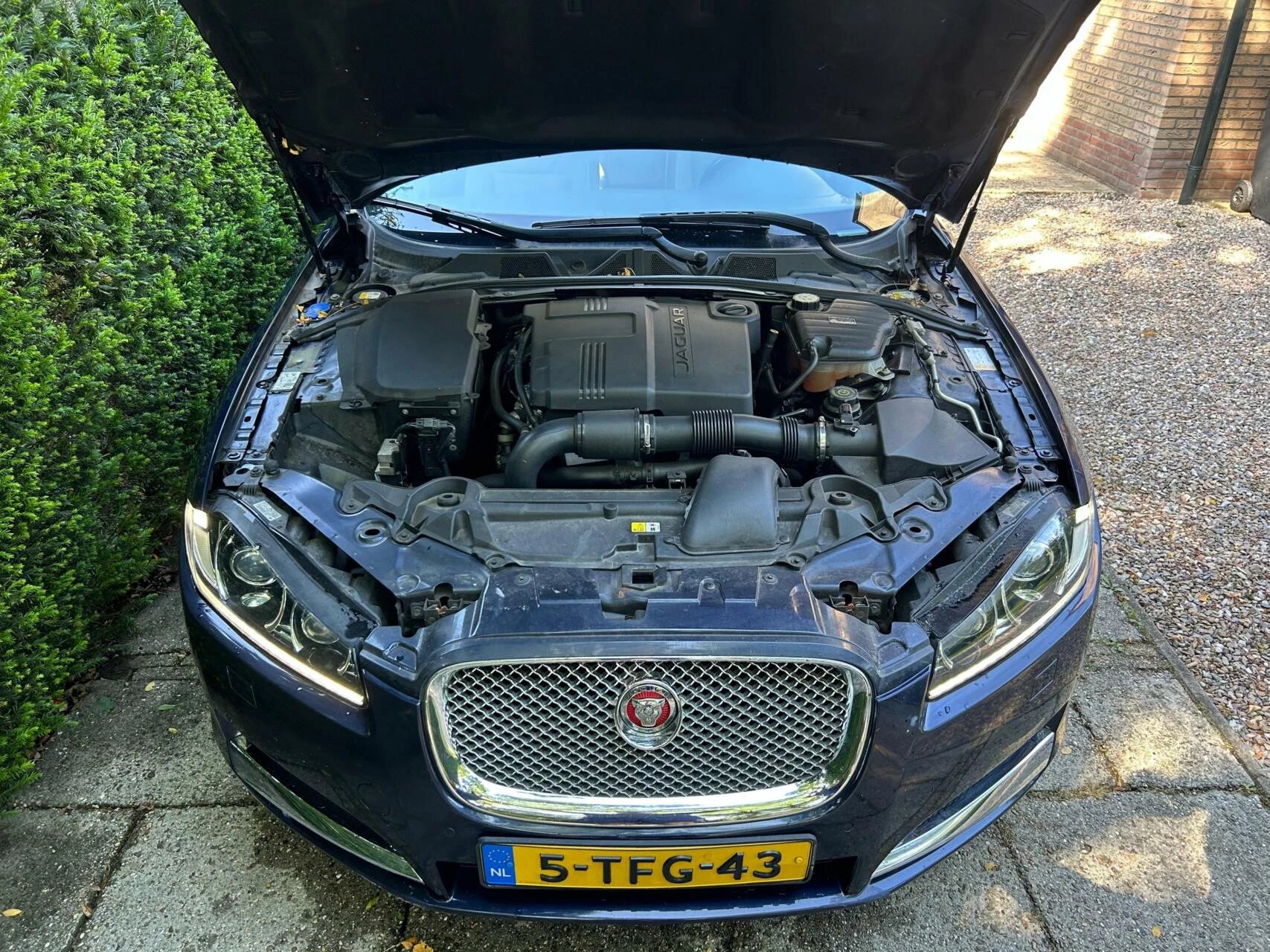 Hoofdafbeelding Jaguar XF