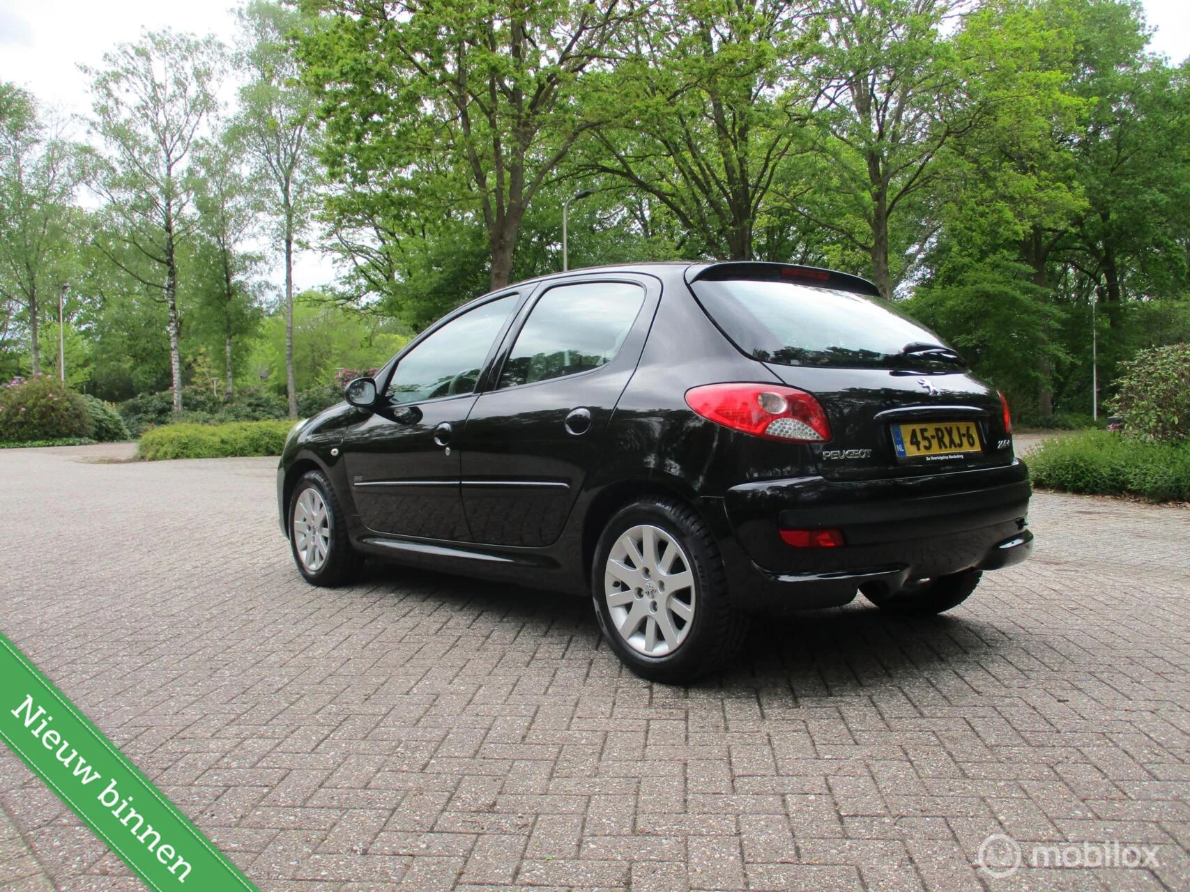 Hoofdafbeelding Peugeot 206