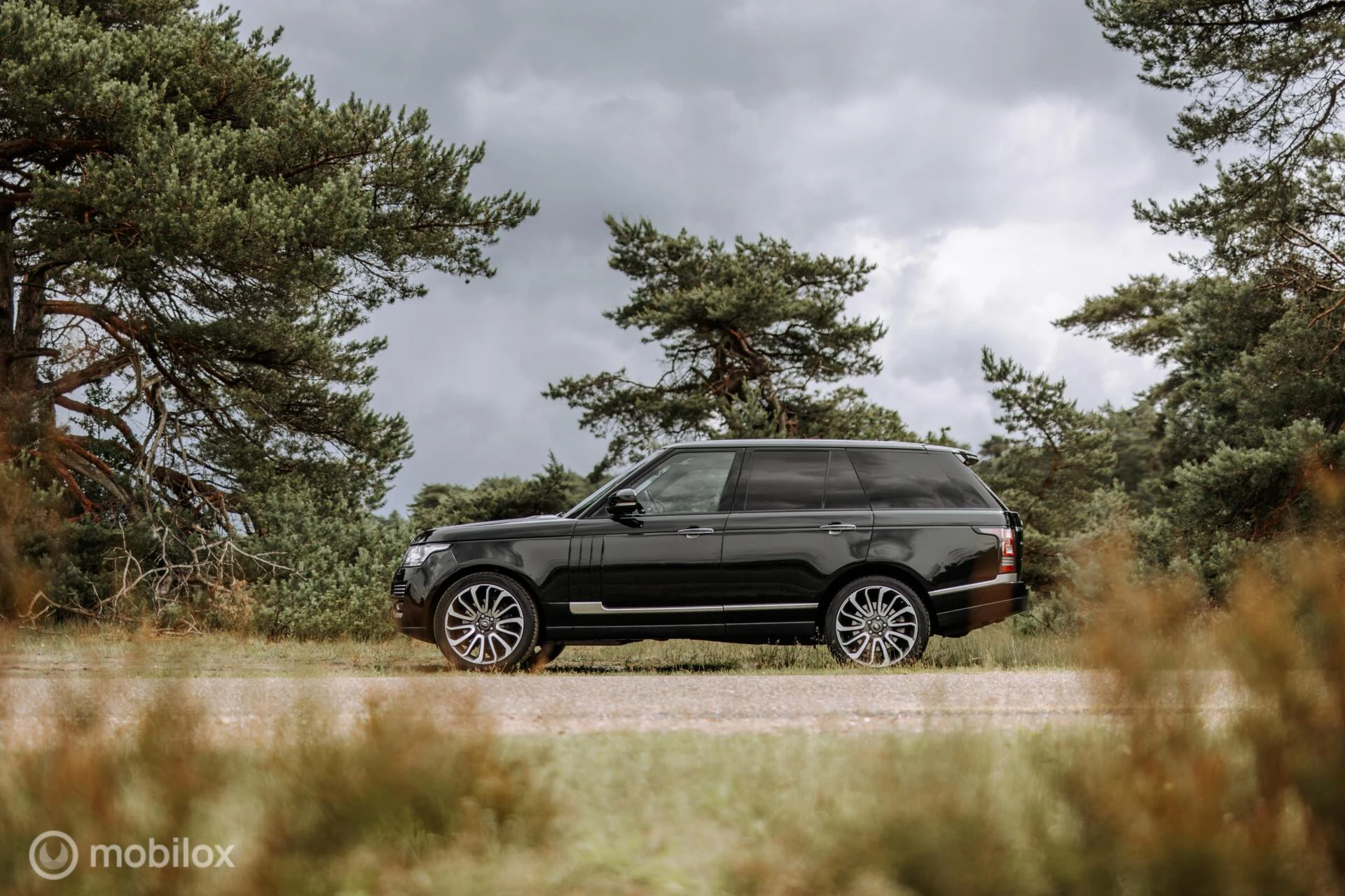 Hoofdafbeelding Land Rover Range Rover