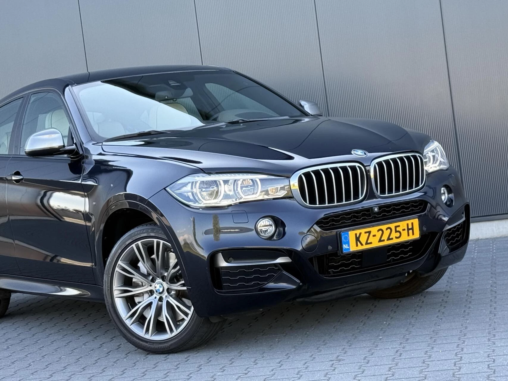 Hoofdafbeelding BMW X6