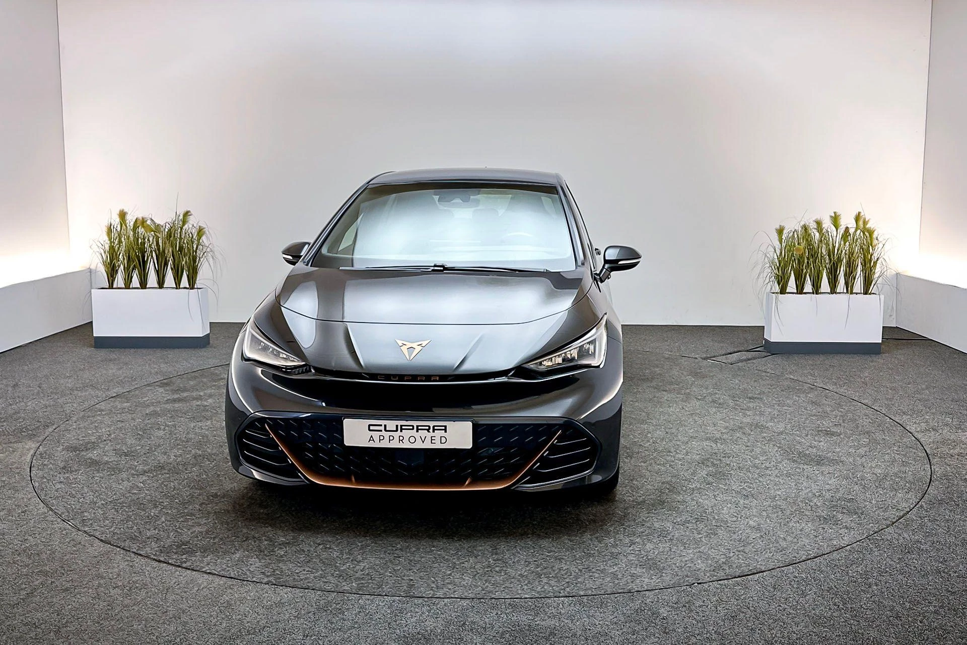 Hoofdafbeelding CUPRA Born