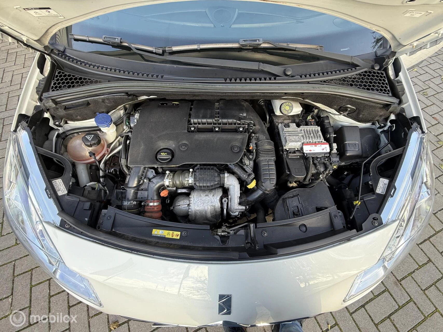 Hoofdafbeelding DS DS 3