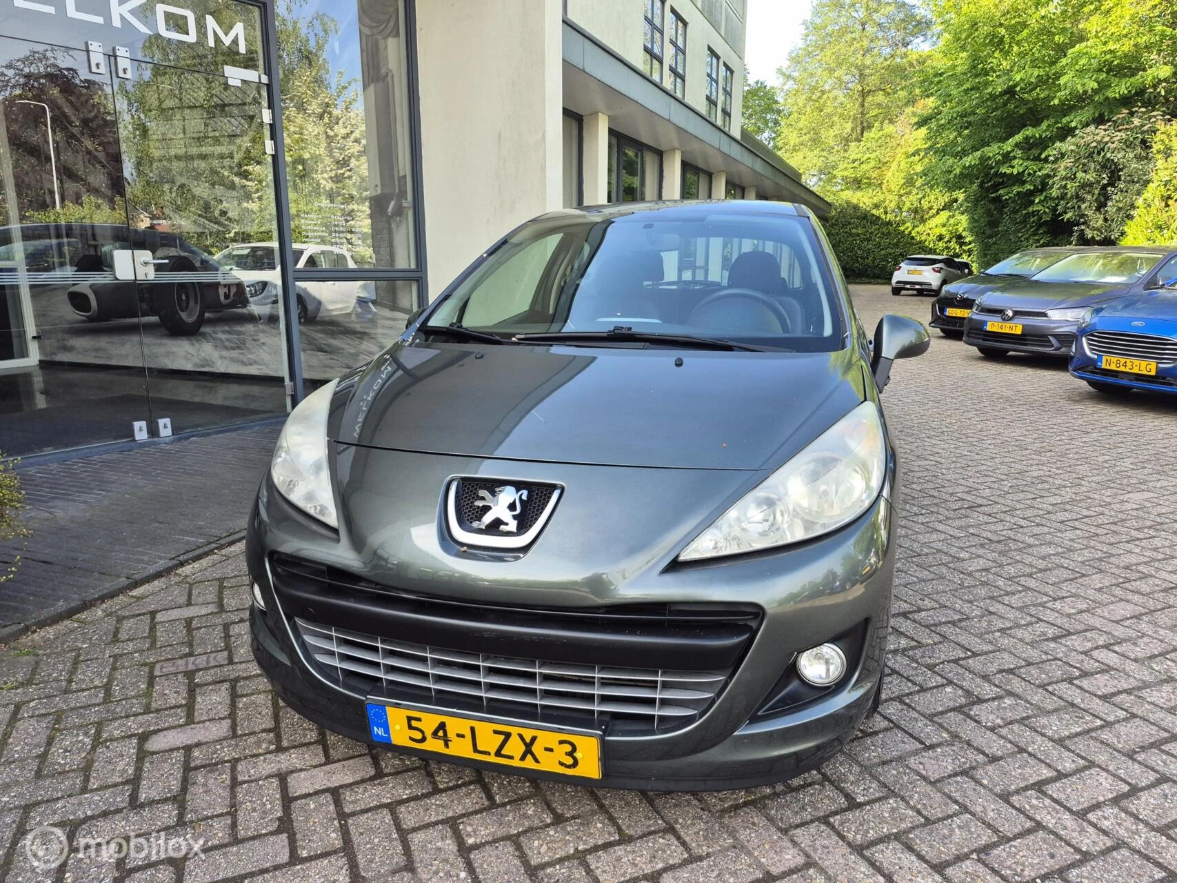 Hoofdafbeelding Peugeot 207
