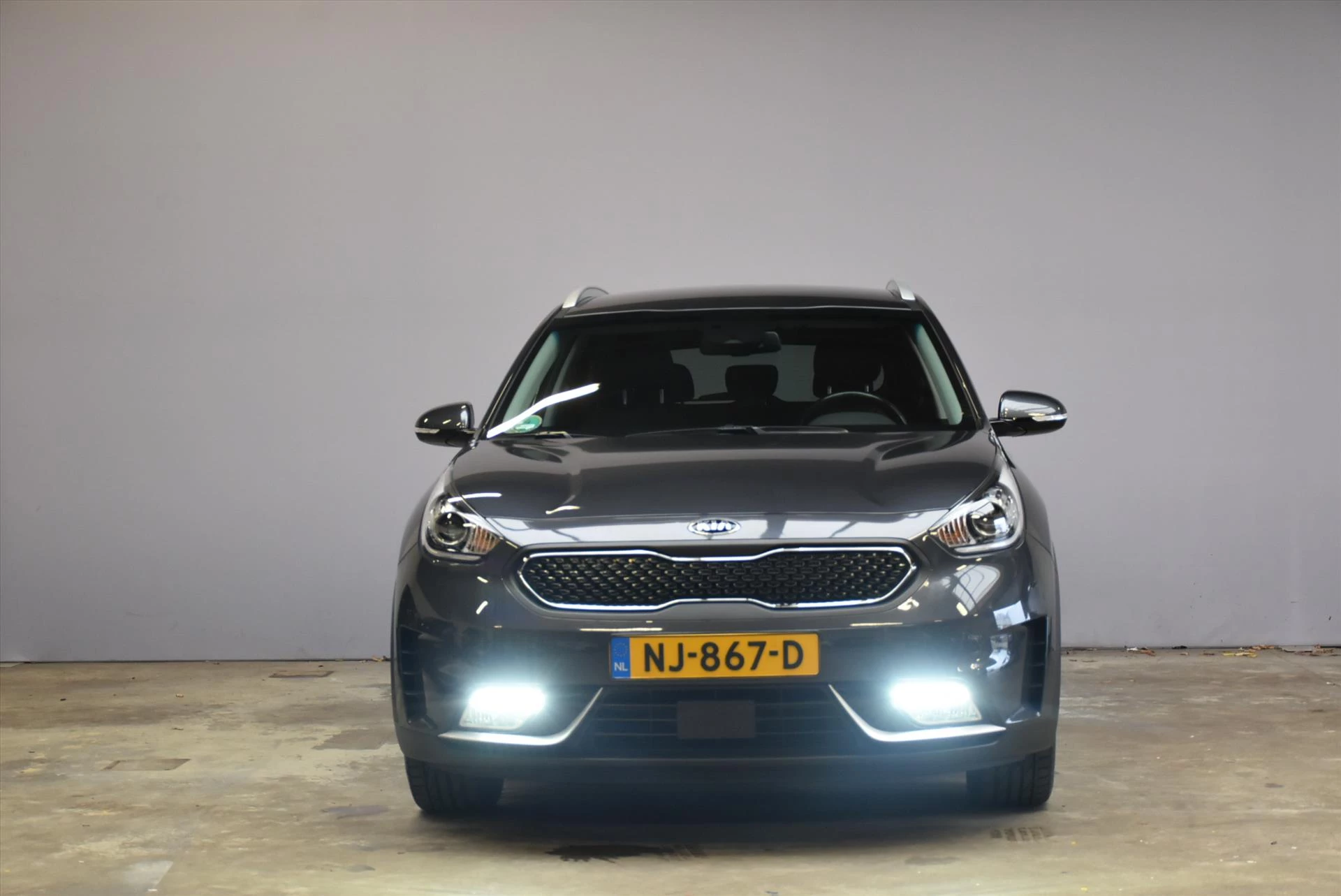 Hoofdafbeelding Kia Niro