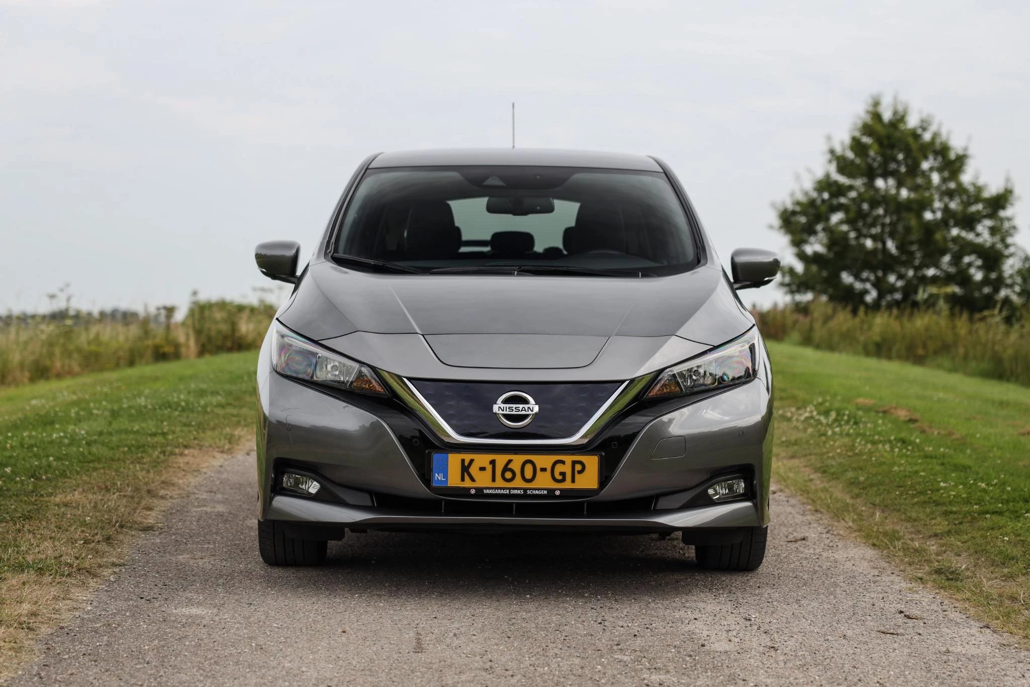 Hoofdafbeelding Nissan Leaf