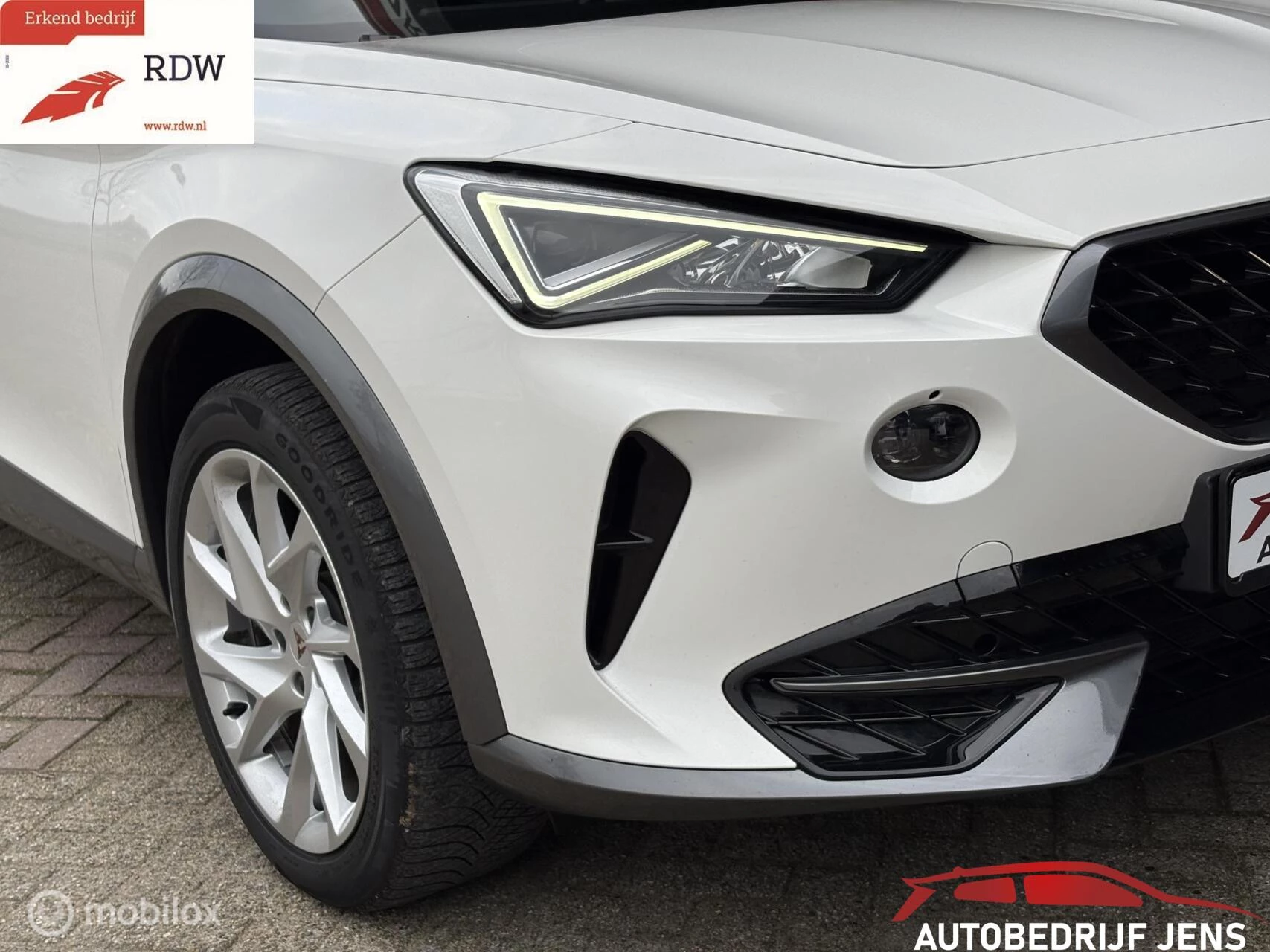 Hoofdafbeelding CUPRA Formentor