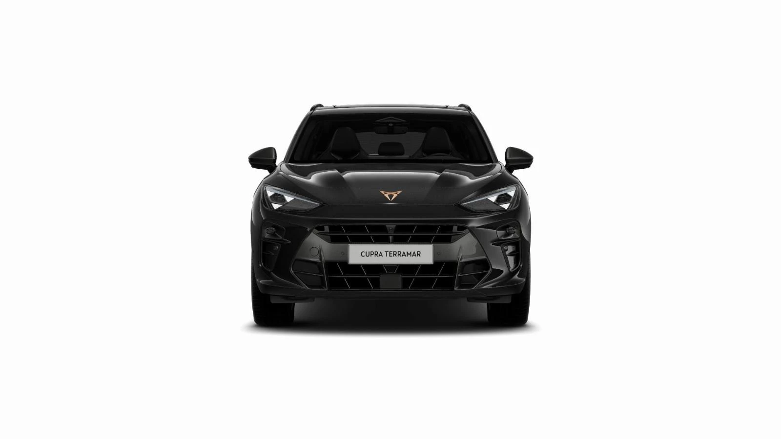Hoofdafbeelding CUPRA Terramar