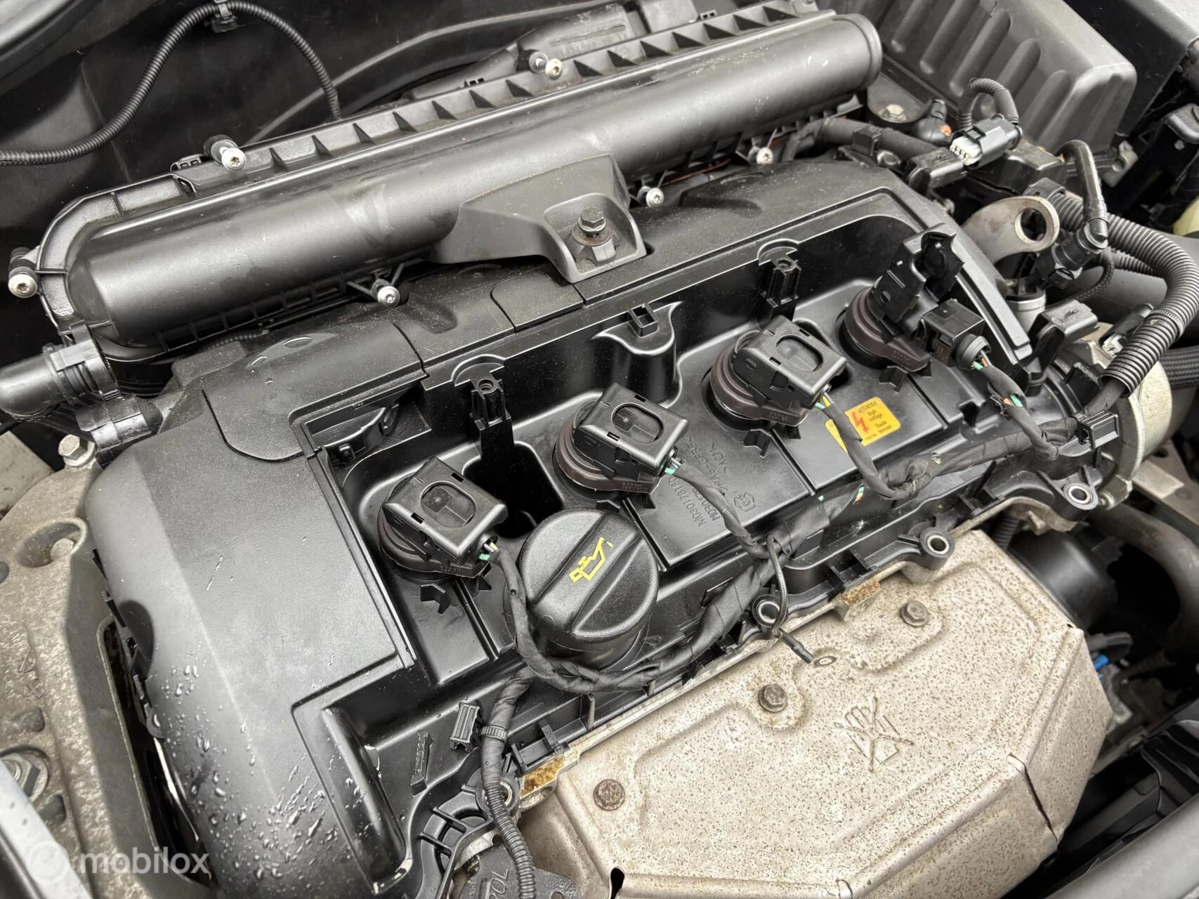Hoofdafbeelding MINI Cooper Cabrio