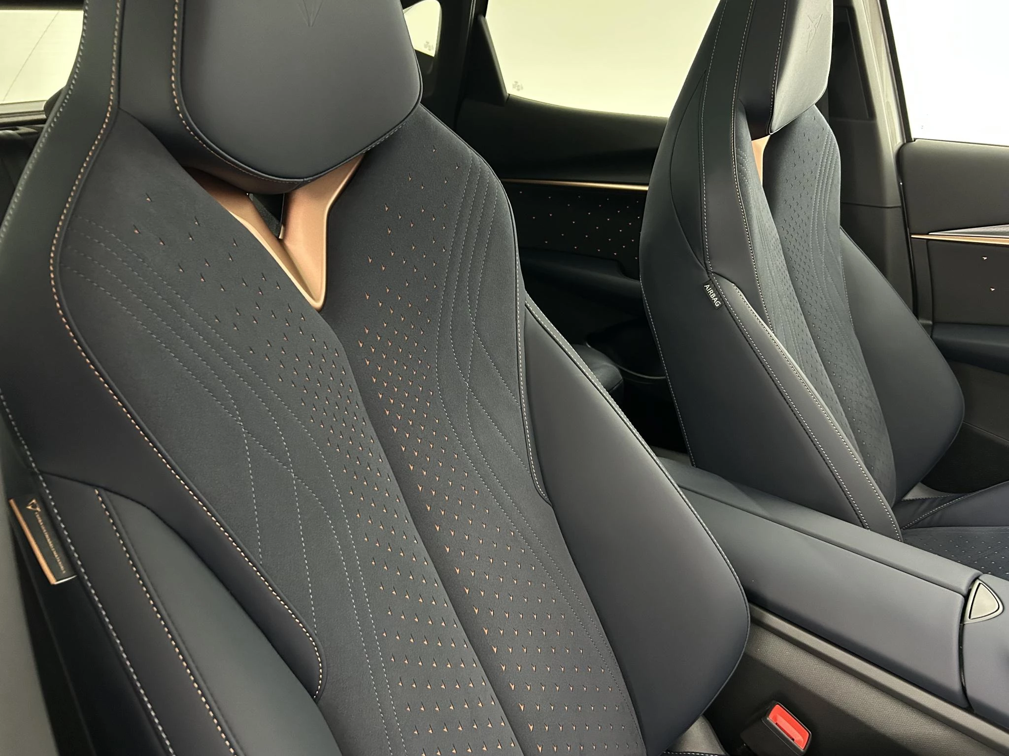 Hoofdafbeelding CUPRA Tavascan