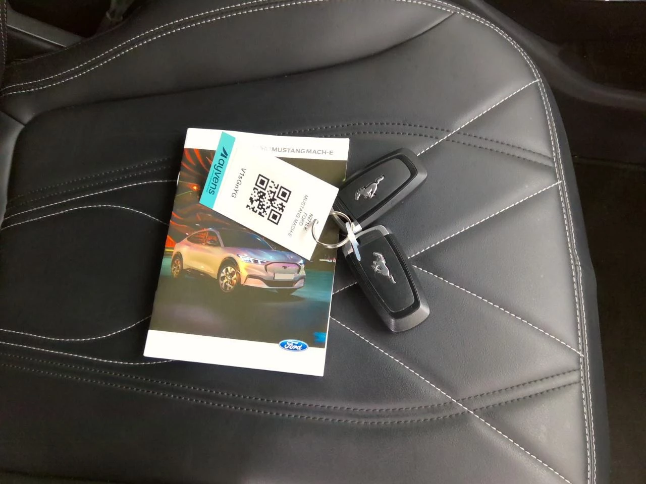 Hoofdafbeelding Ford Mustang Mach-E