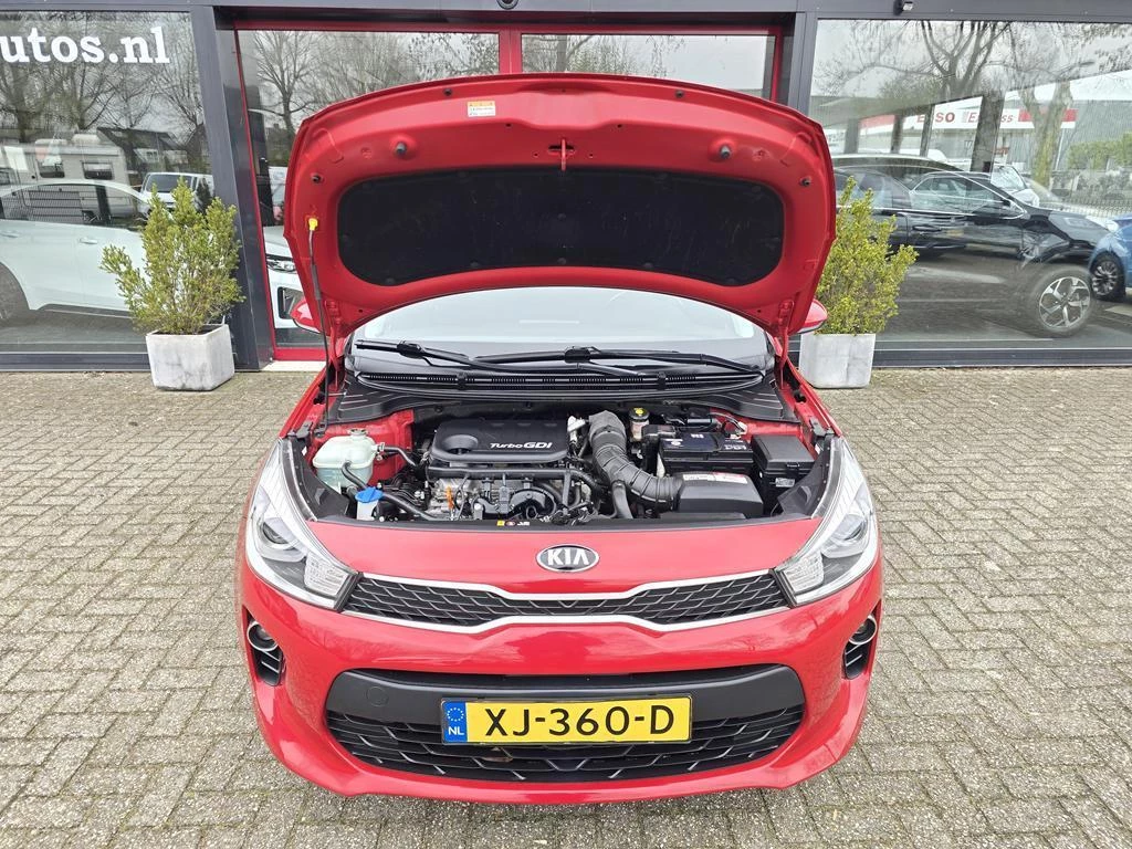Hoofdafbeelding Kia Rio