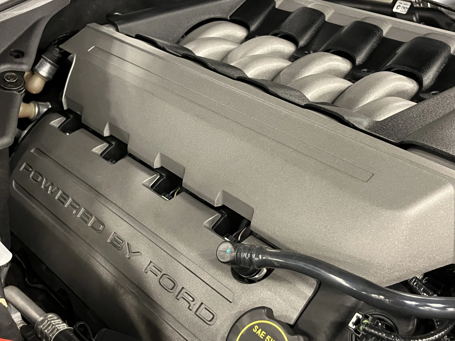 Hoofdafbeelding Ford Mustang