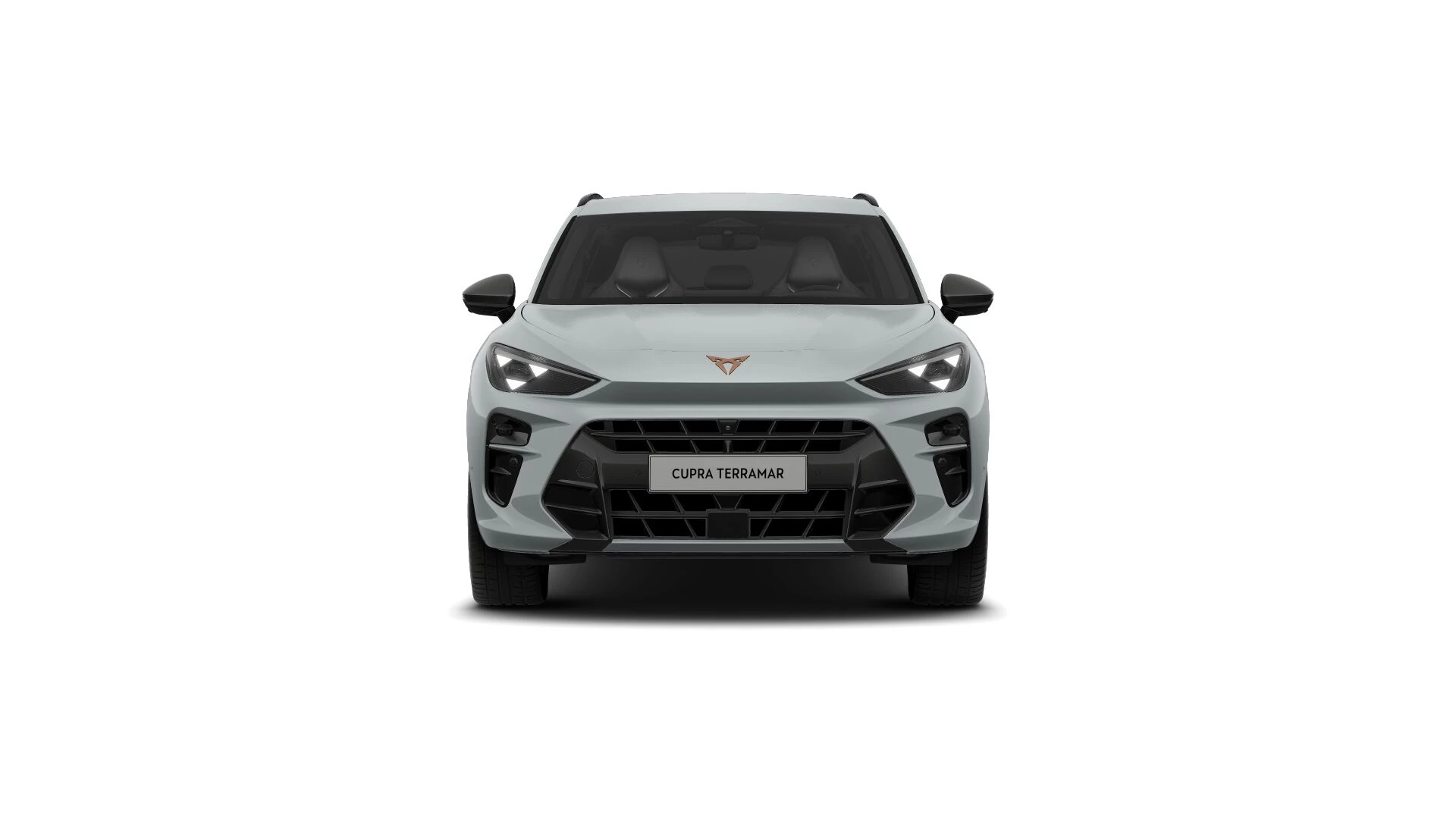 Hoofdafbeelding CUPRA Terramar