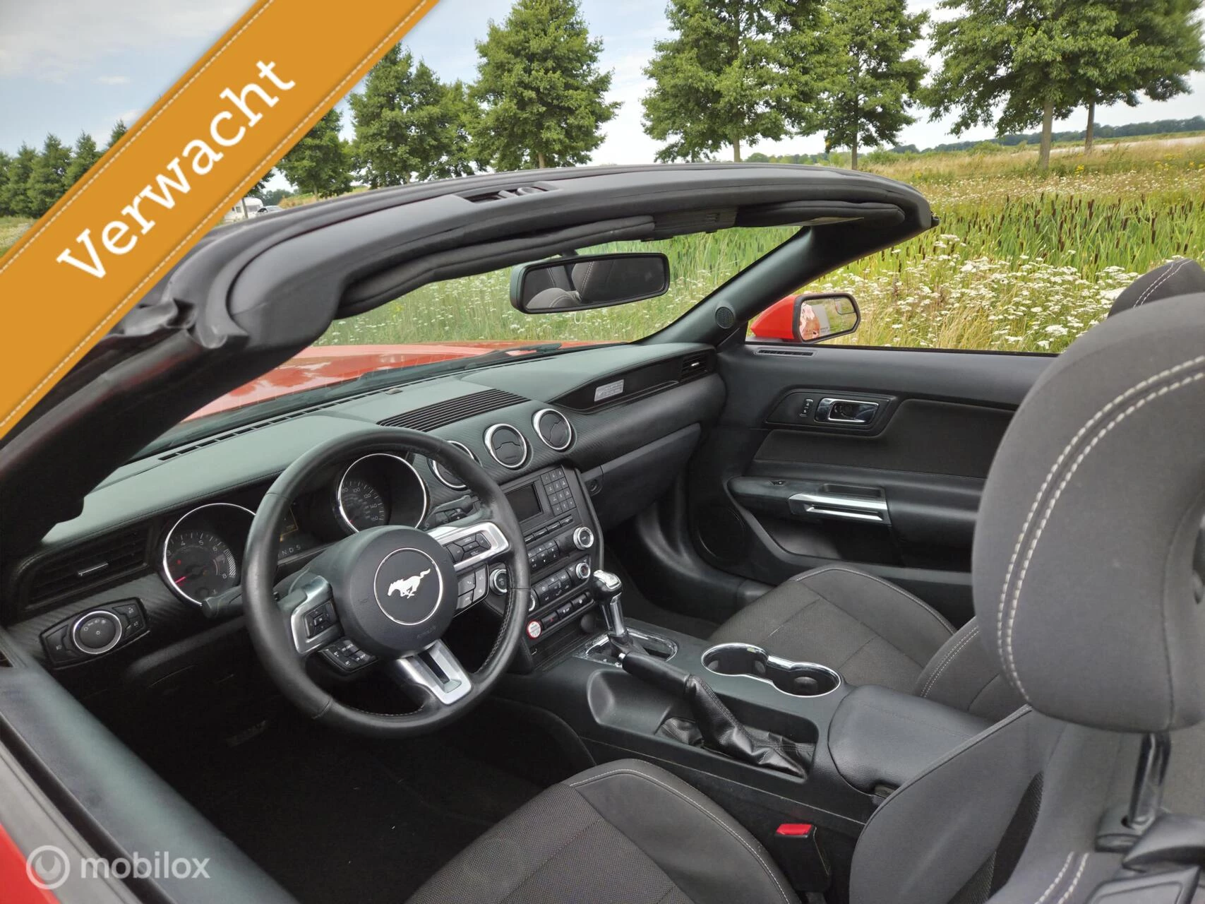 Hoofdafbeelding Ford Mustang
