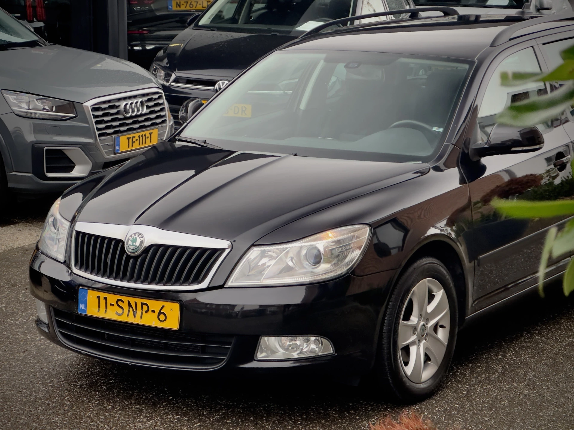 Hoofdafbeelding Škoda Octavia