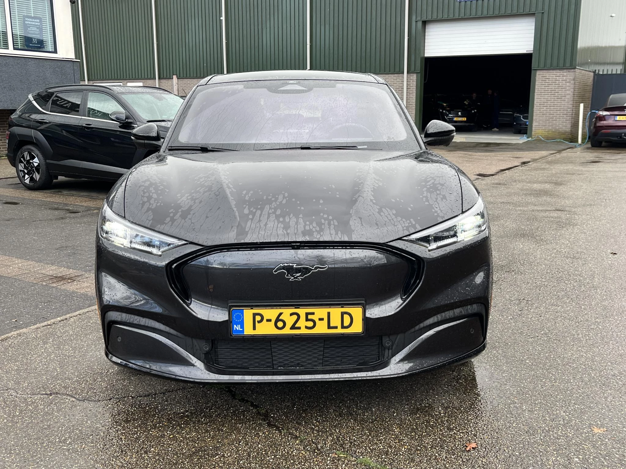 Hoofdafbeelding Ford Mustang Mach-E