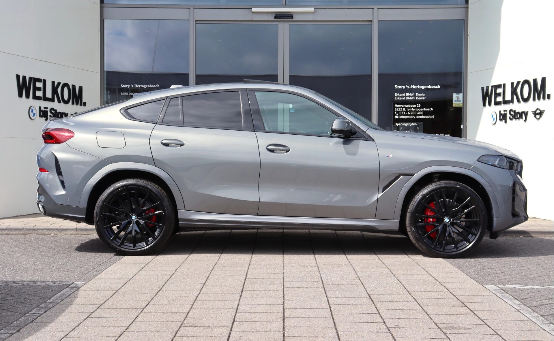 Hoofdafbeelding BMW X6