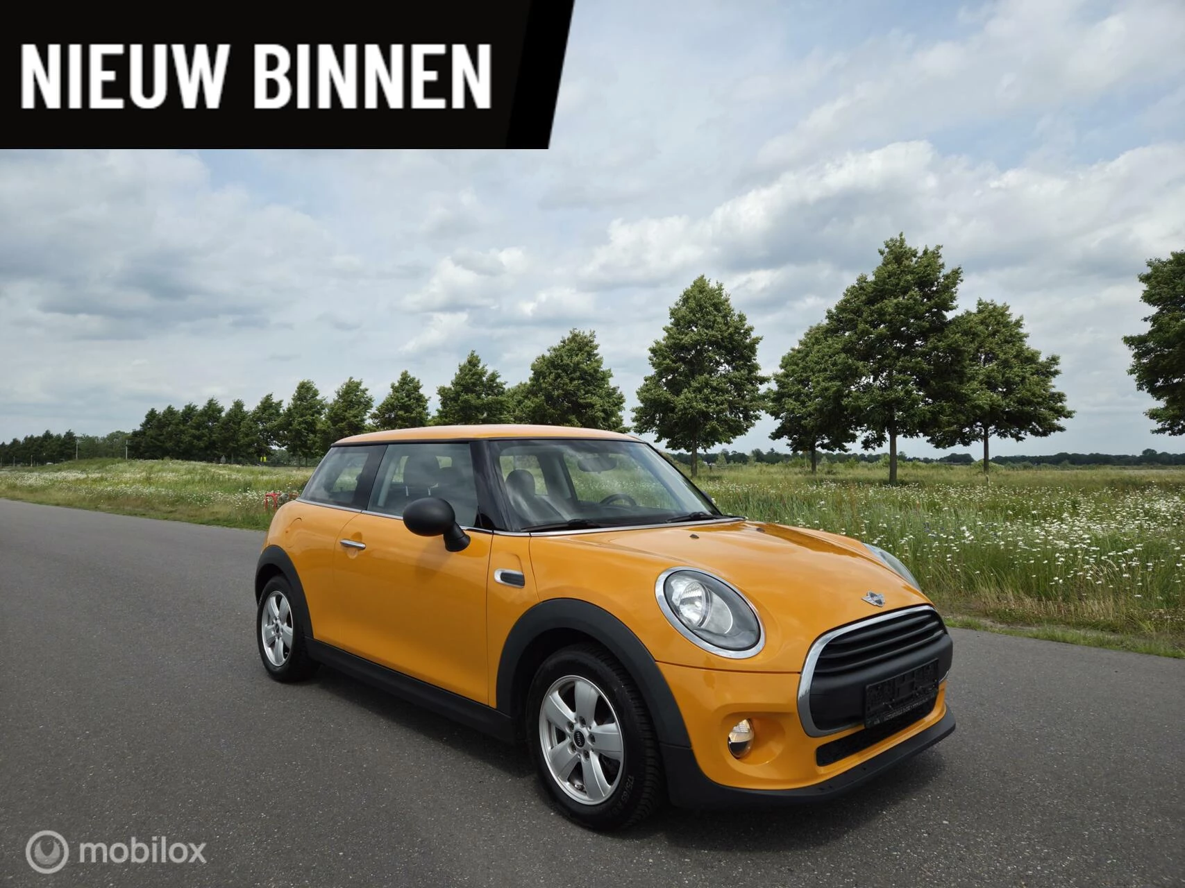 Hoofdafbeelding MINI One