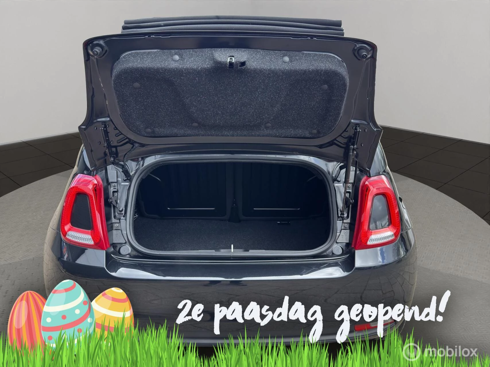 Hoofdafbeelding Fiat 500C