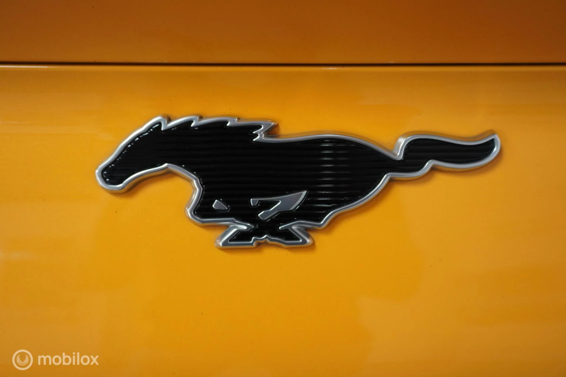 Hoofdafbeelding Ford Mustang Mach-E