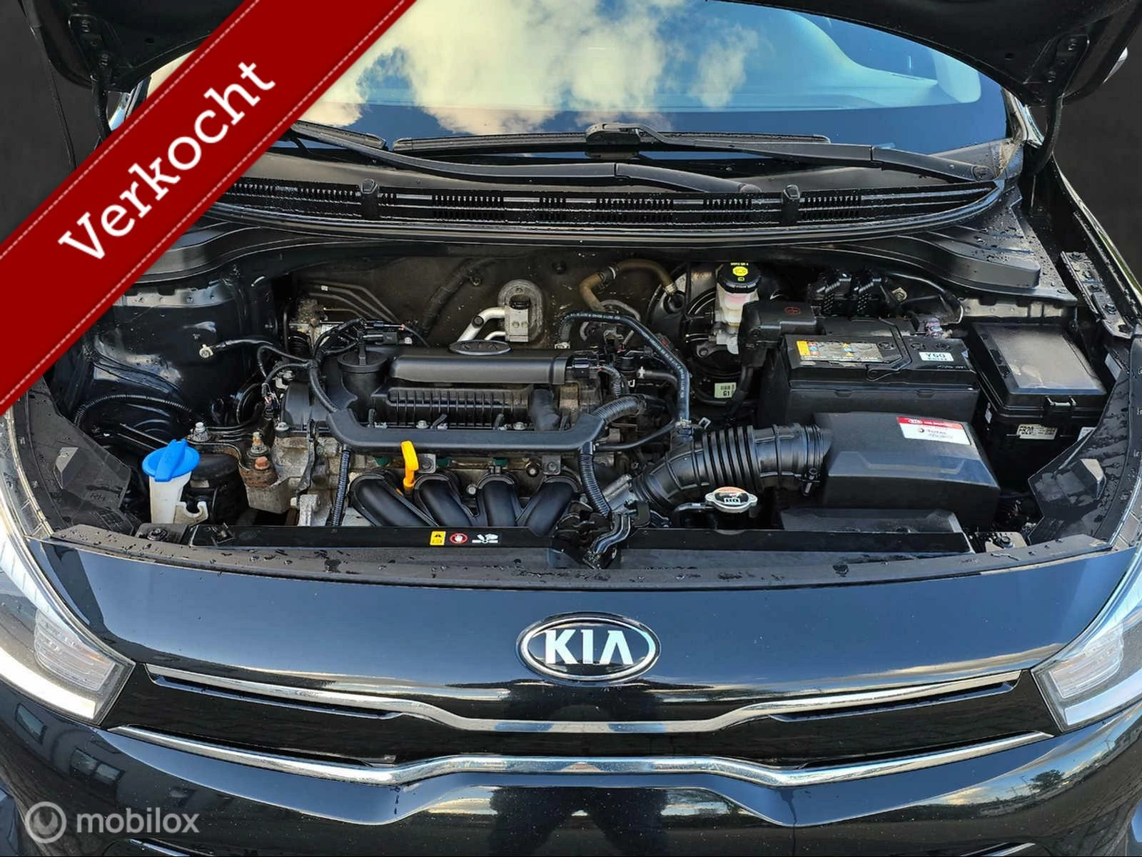 Hoofdafbeelding Kia Rio