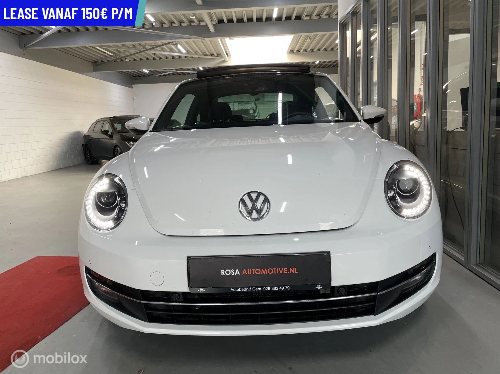 Hoofdafbeelding Volkswagen Beetle