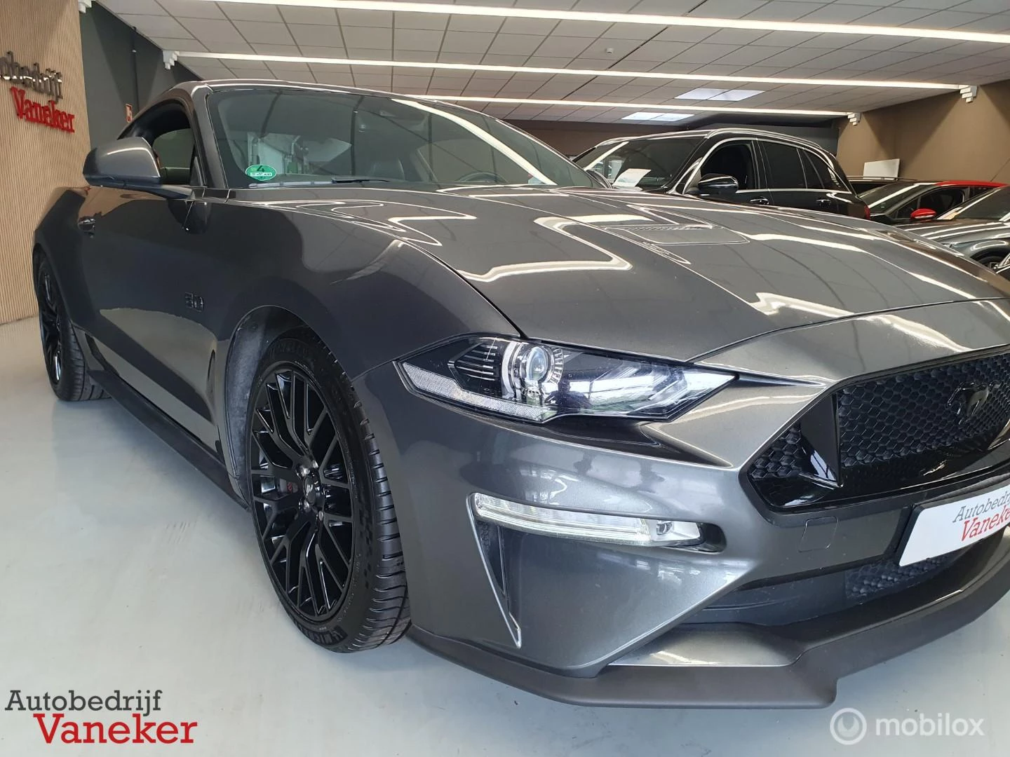Hoofdafbeelding Ford Mustang