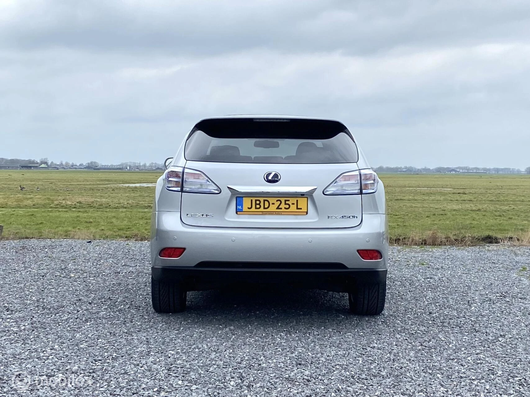 Hoofdafbeelding Lexus RX