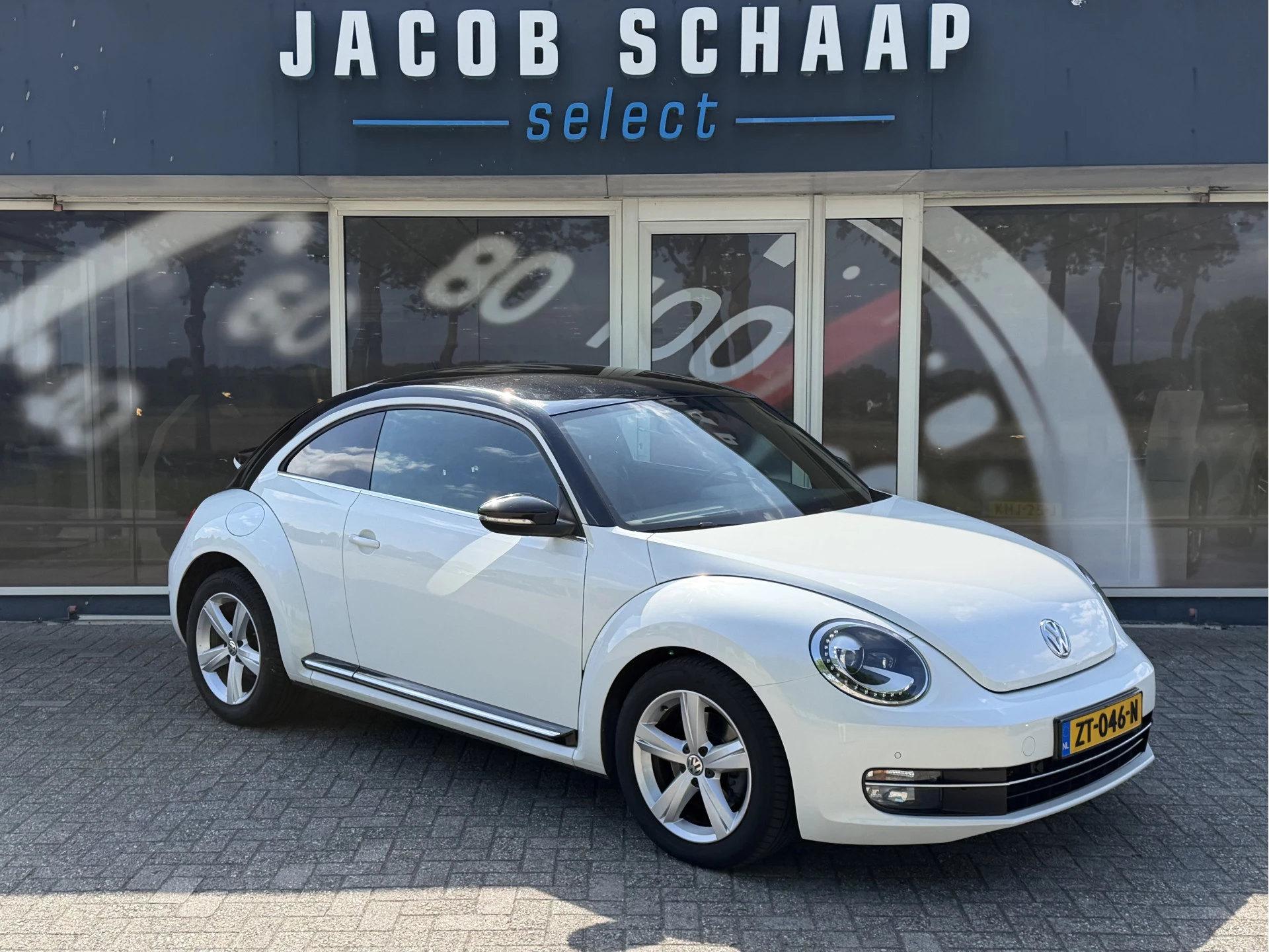 Hoofdafbeelding Volkswagen Beetle