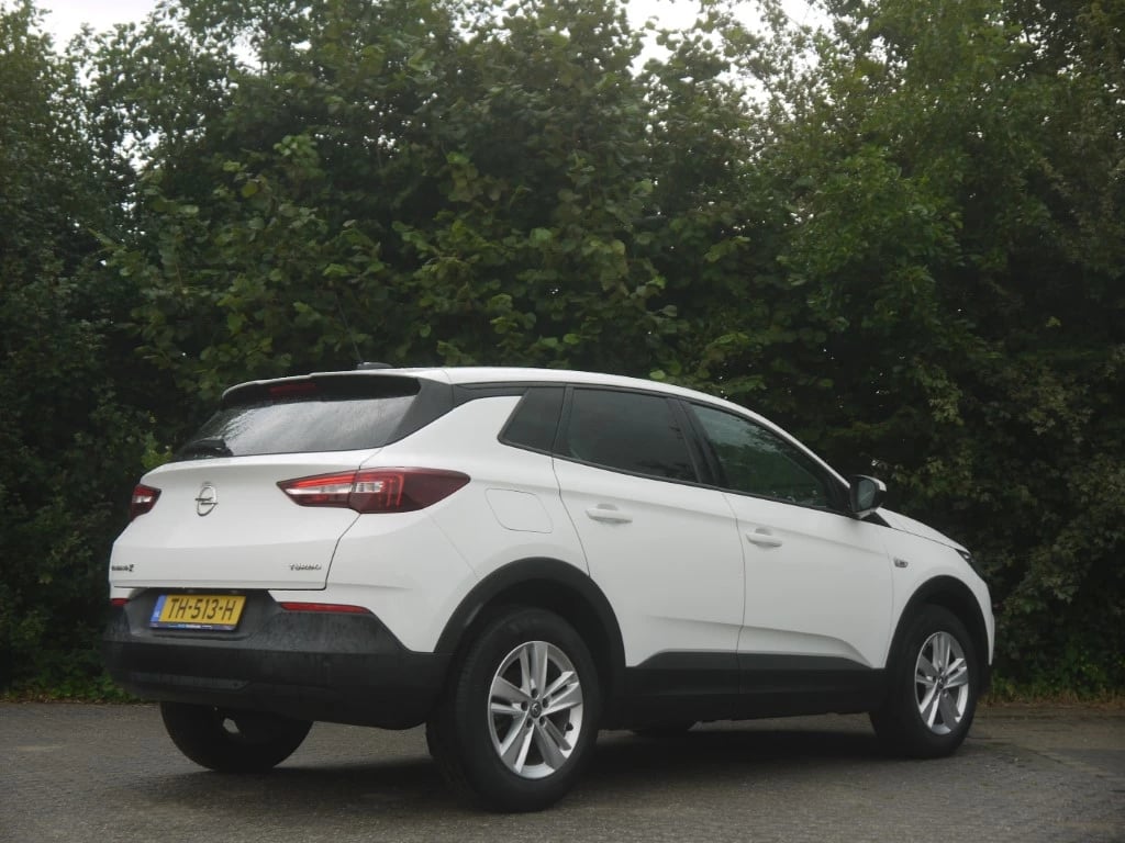 Hoofdafbeelding Opel Grandland X