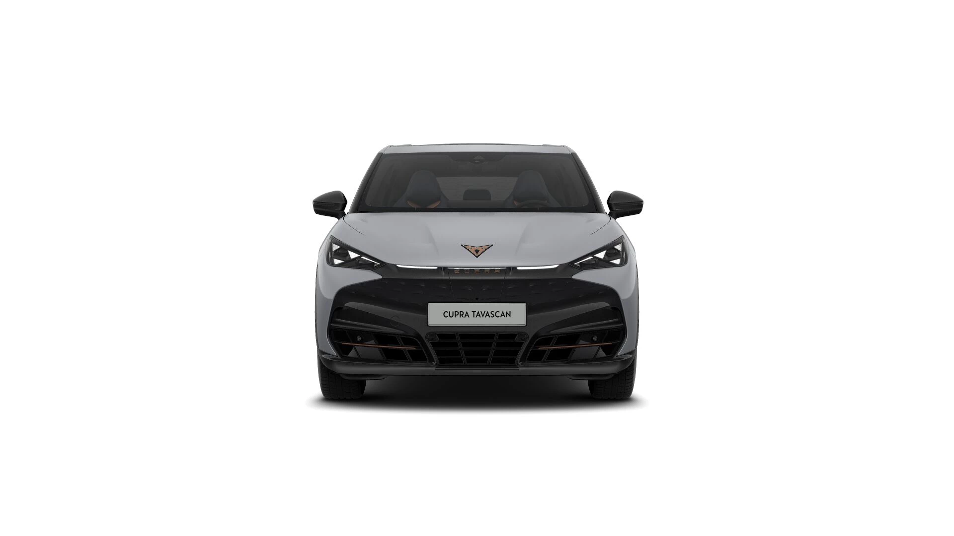 Hoofdafbeelding CUPRA Tavascan