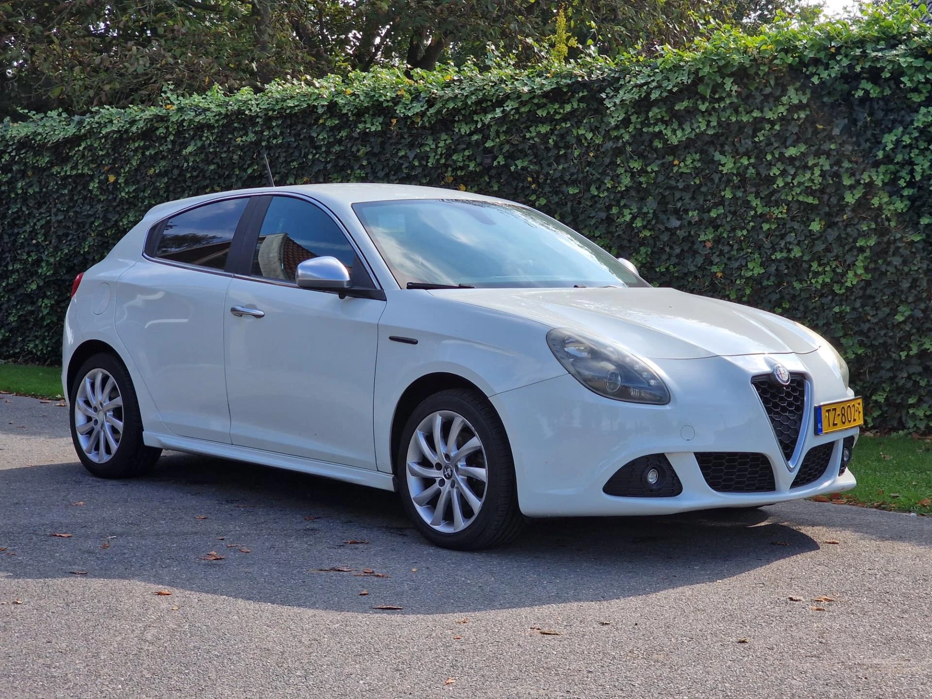 Hoofdafbeelding Alfa Romeo Giulietta